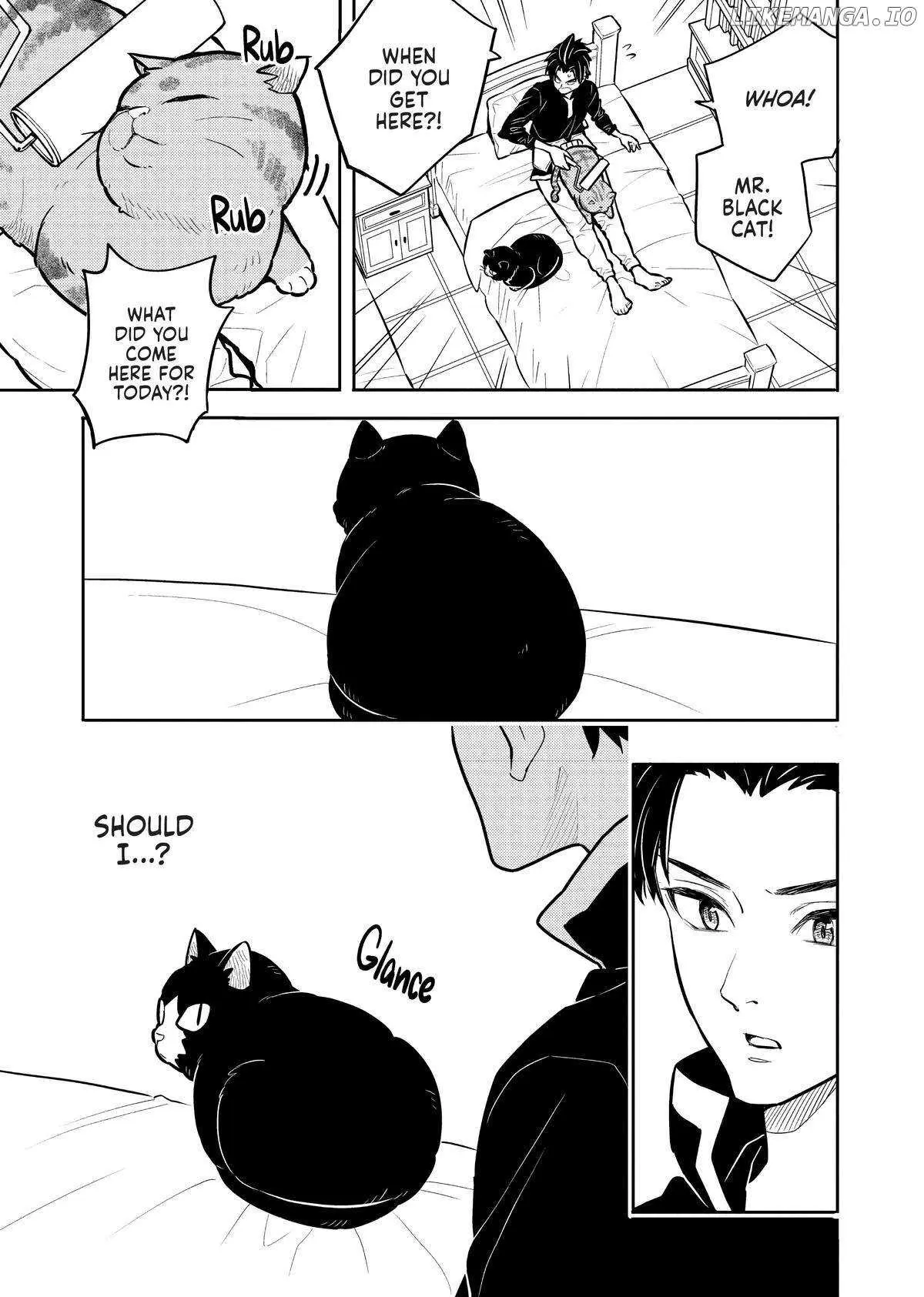 Cat on the Hero