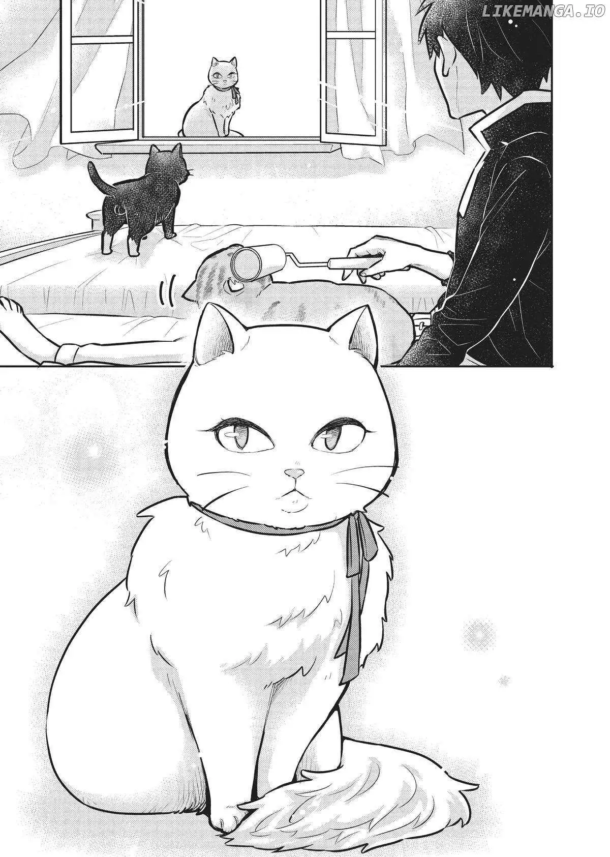 Cat on the Hero
