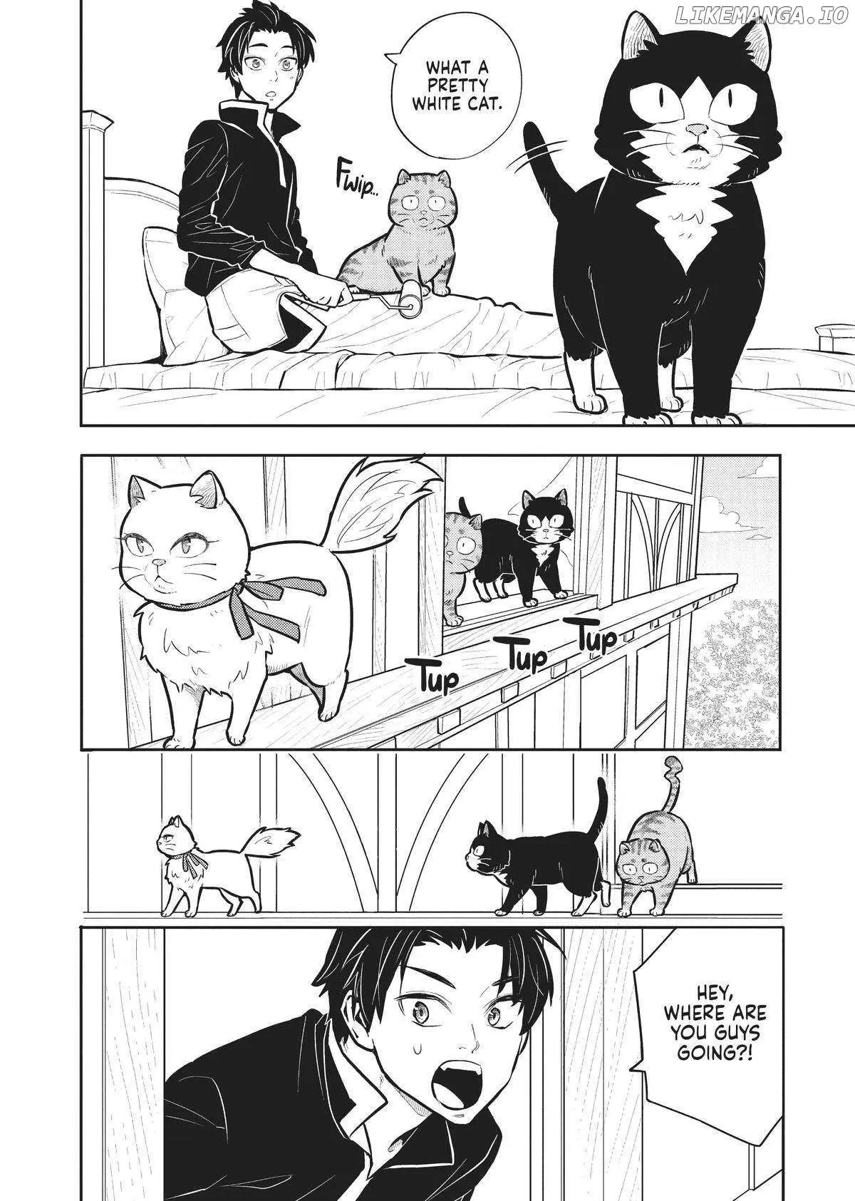 Cat on the Hero