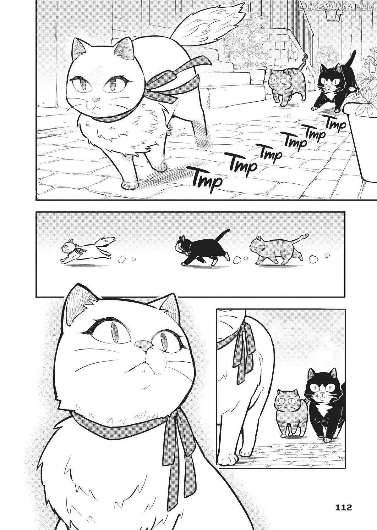 Cat on the Hero
