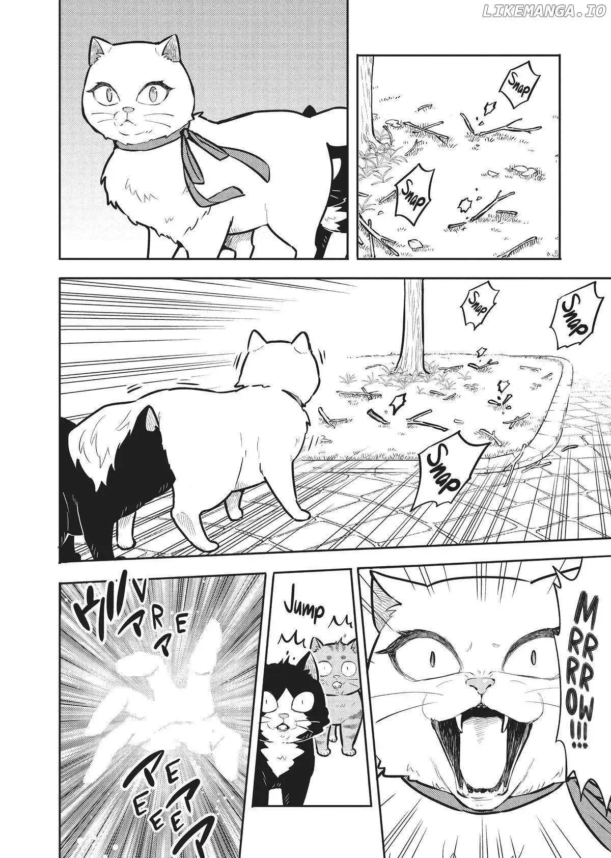 Cat on the Hero