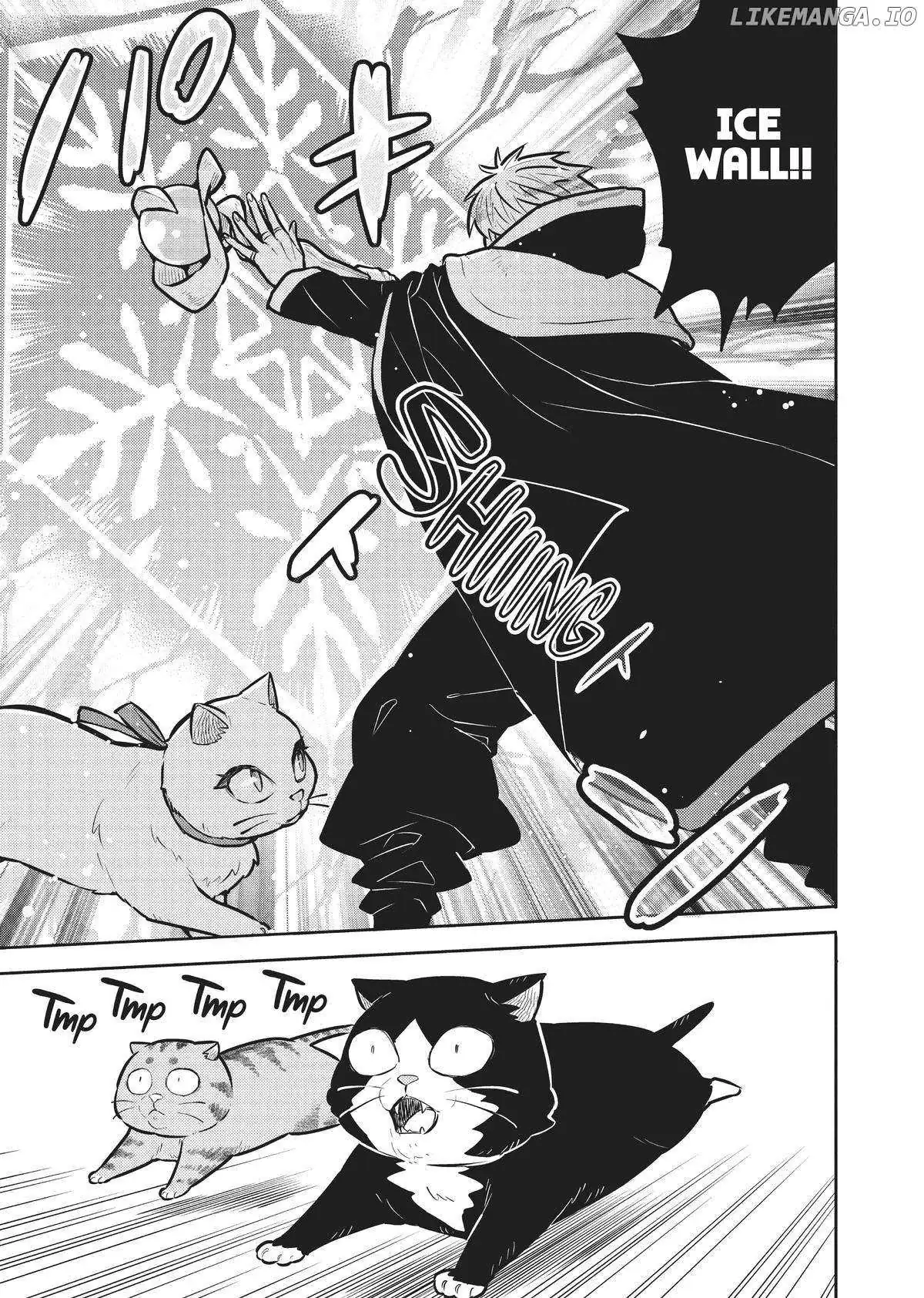 Cat on the Hero
