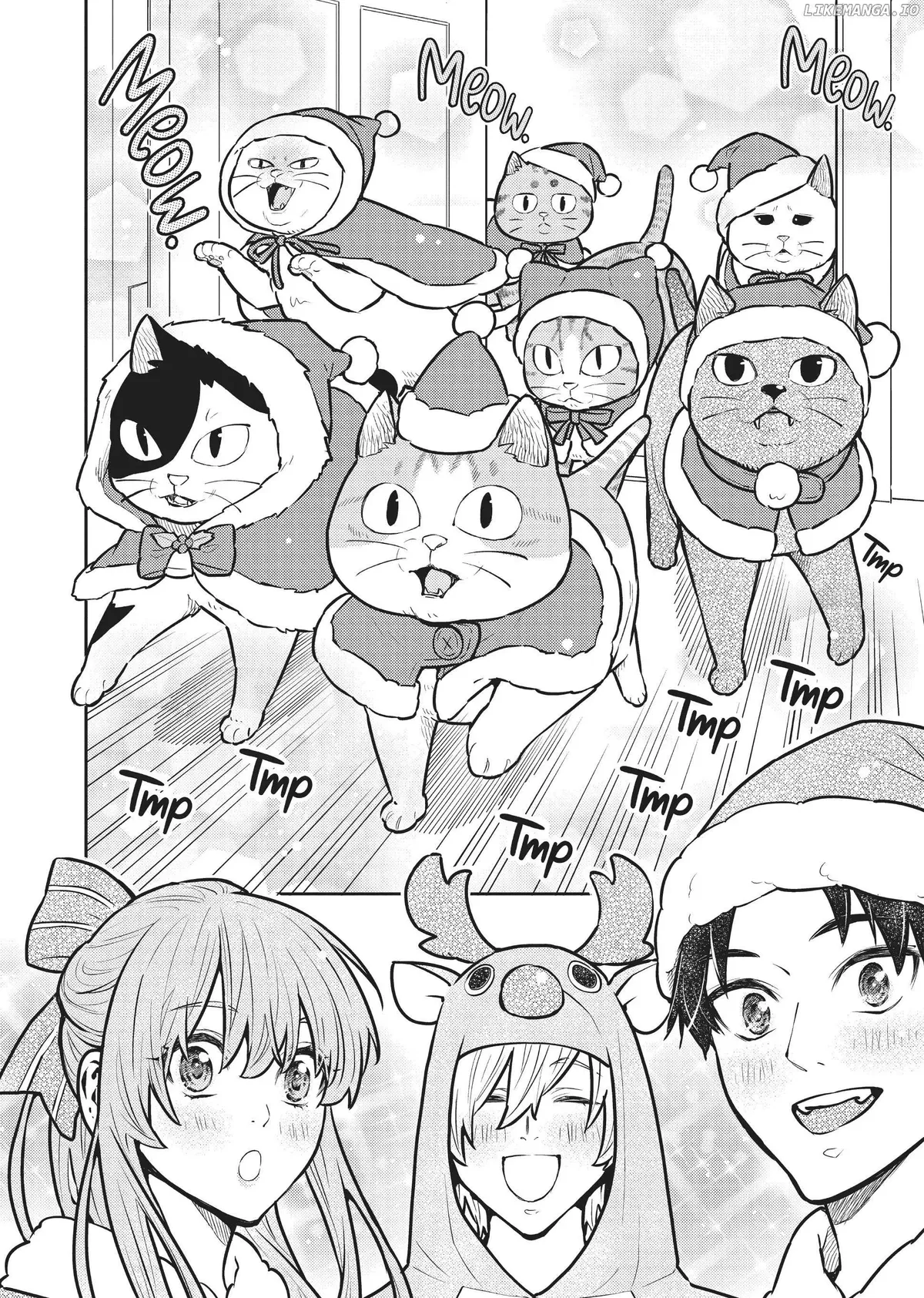 Cat on the Hero
