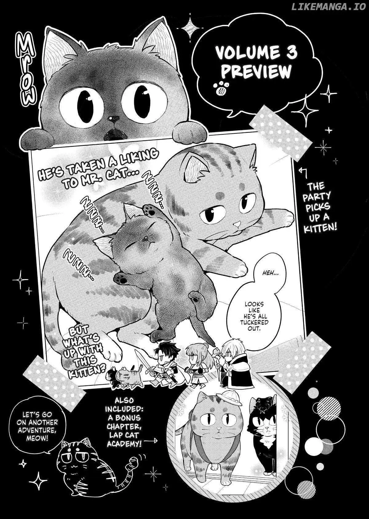 Cat on the Hero