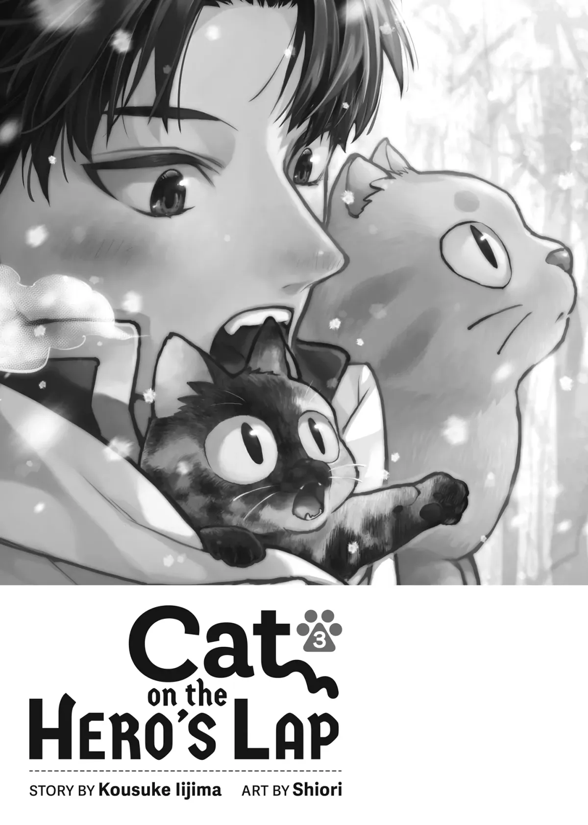 Cat on the Hero