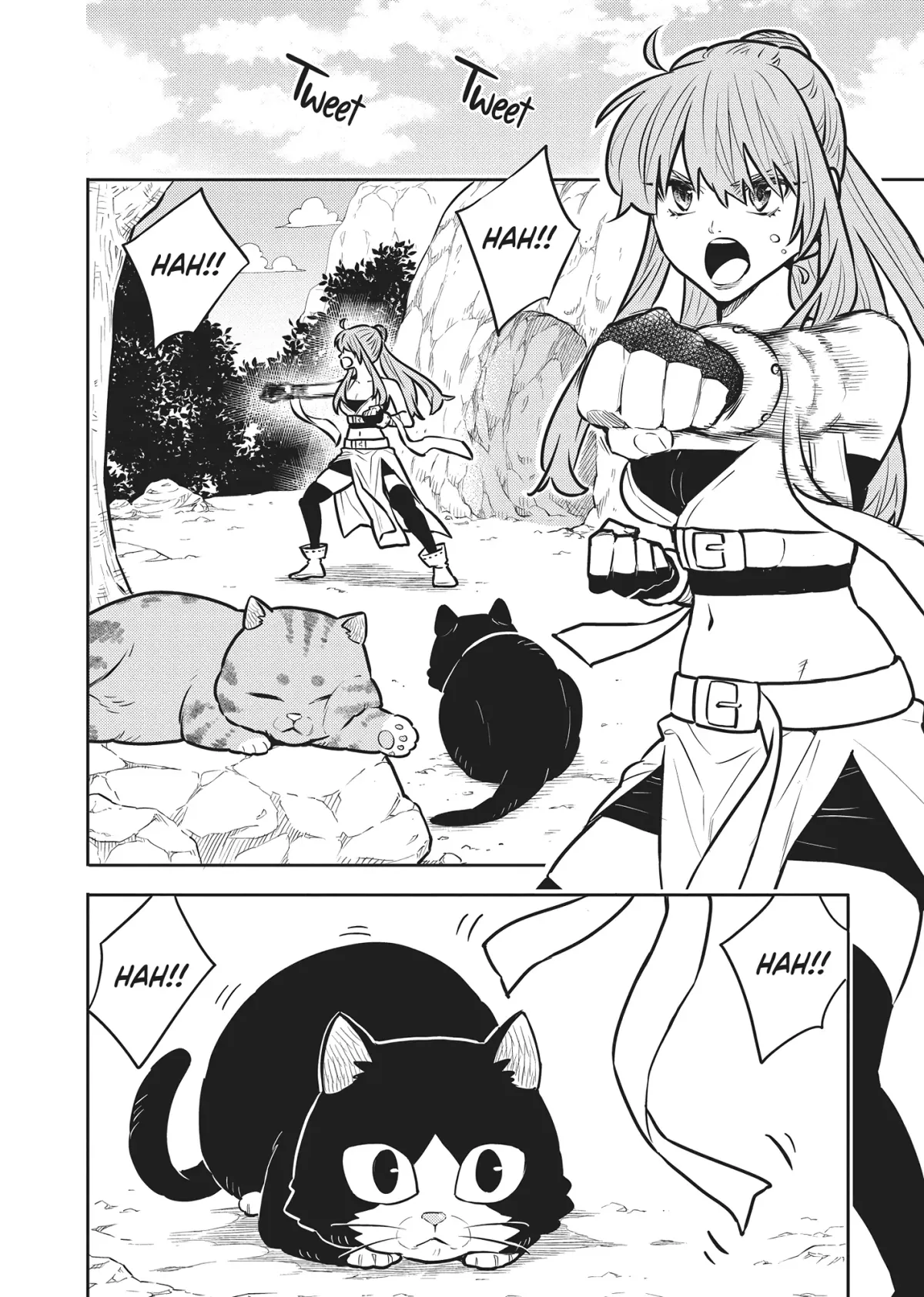 Cat on the Hero