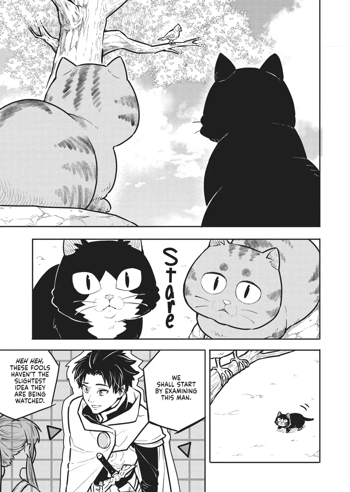 Cat on the Hero