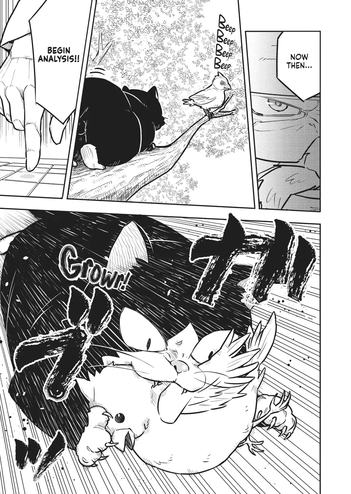 Cat on the Hero