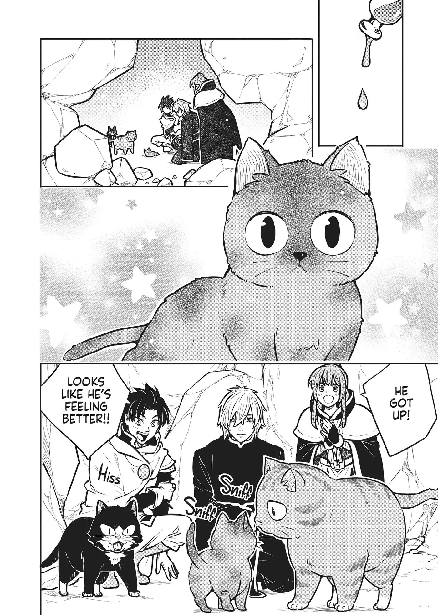 Cat on the Hero