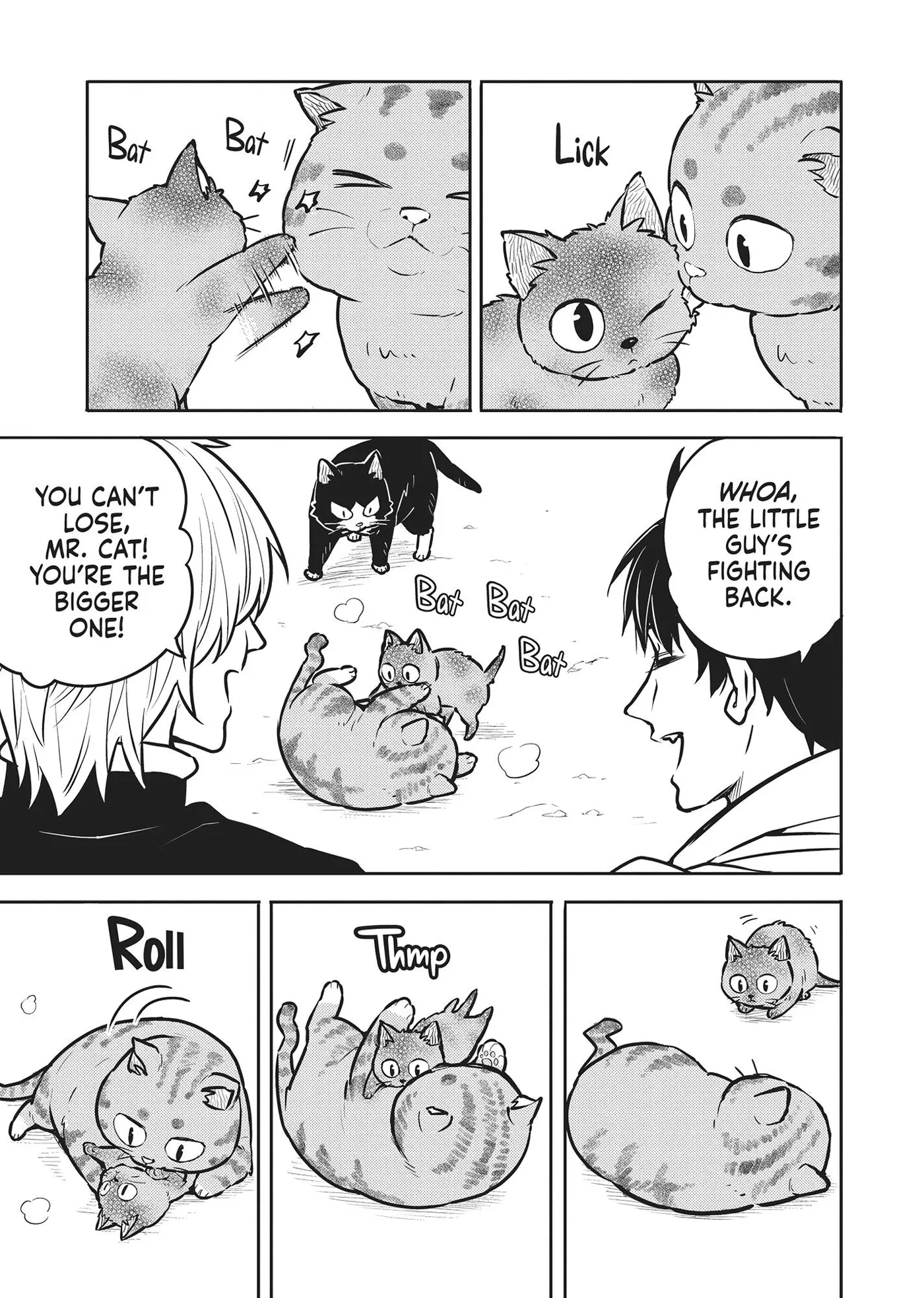 Cat on the Hero