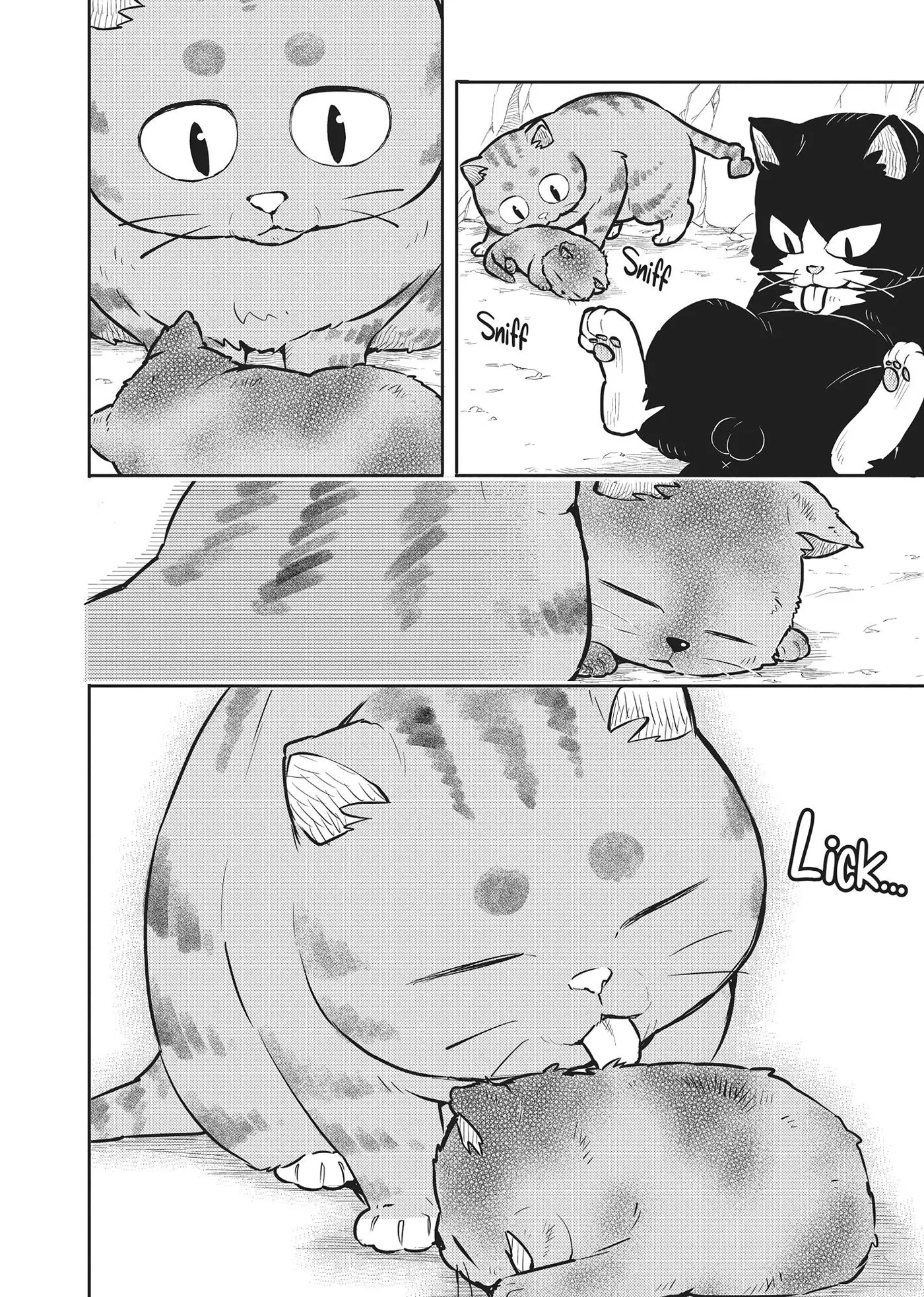Cat on the Hero