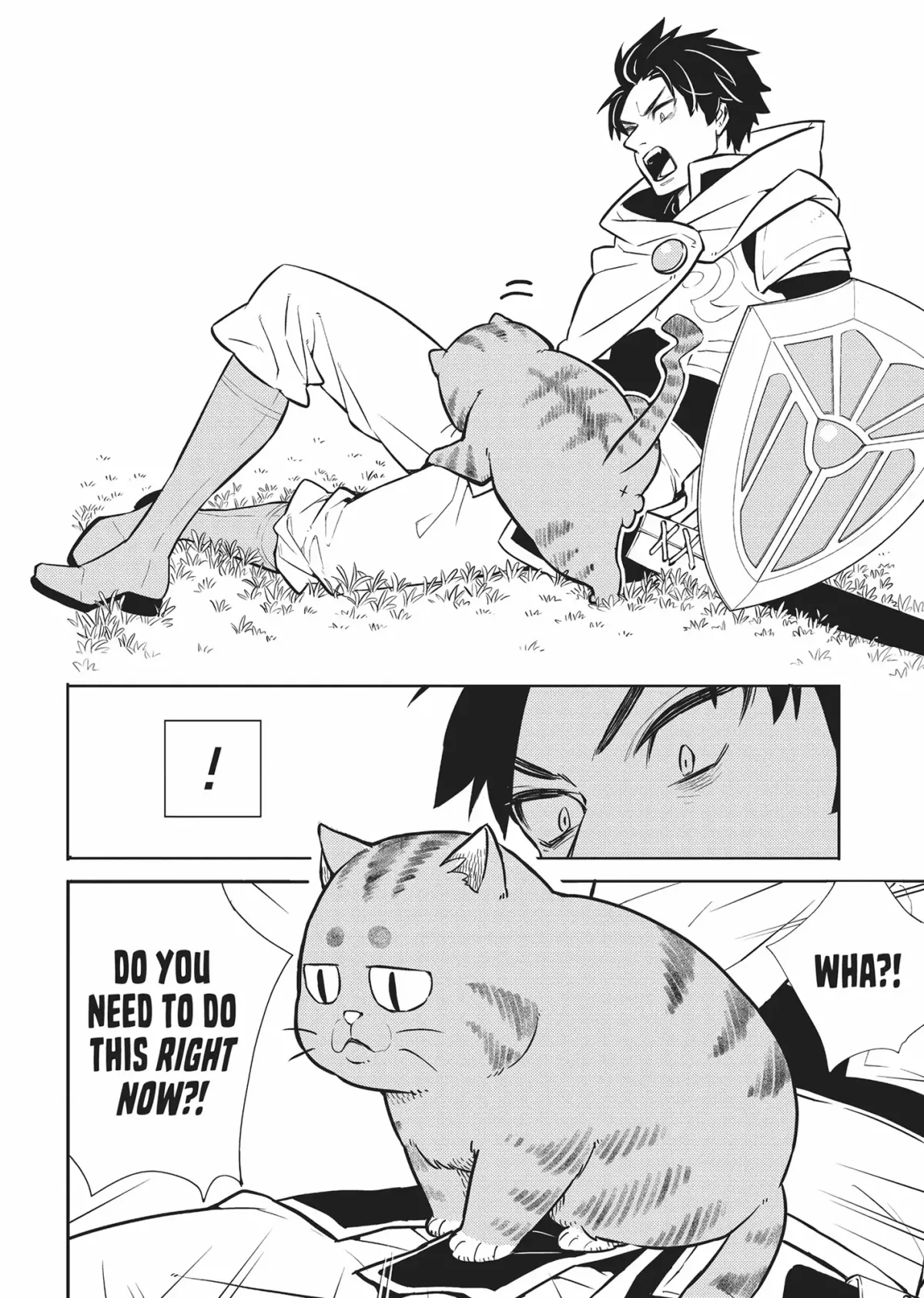 Cat on the Hero