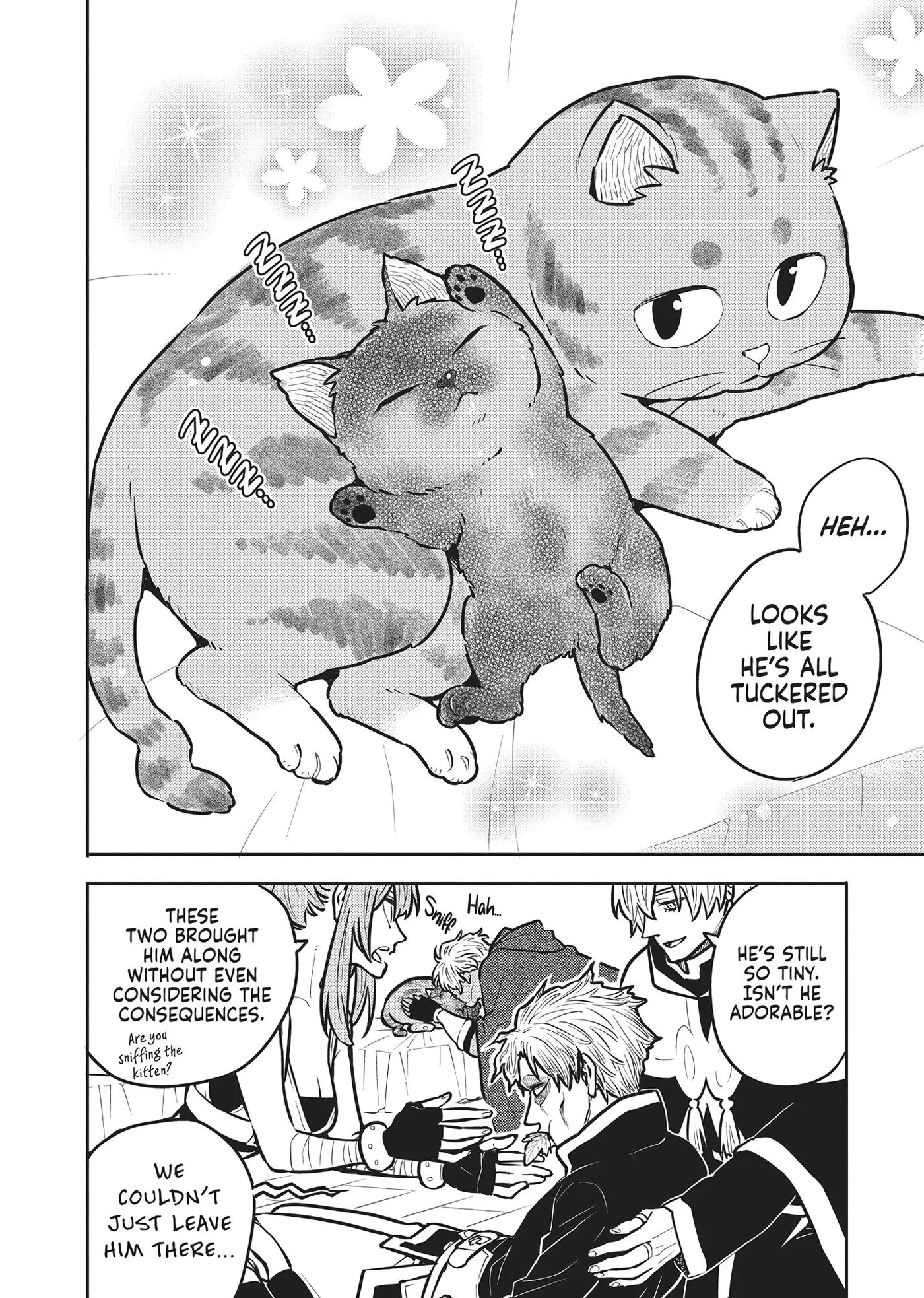 Cat on the Hero