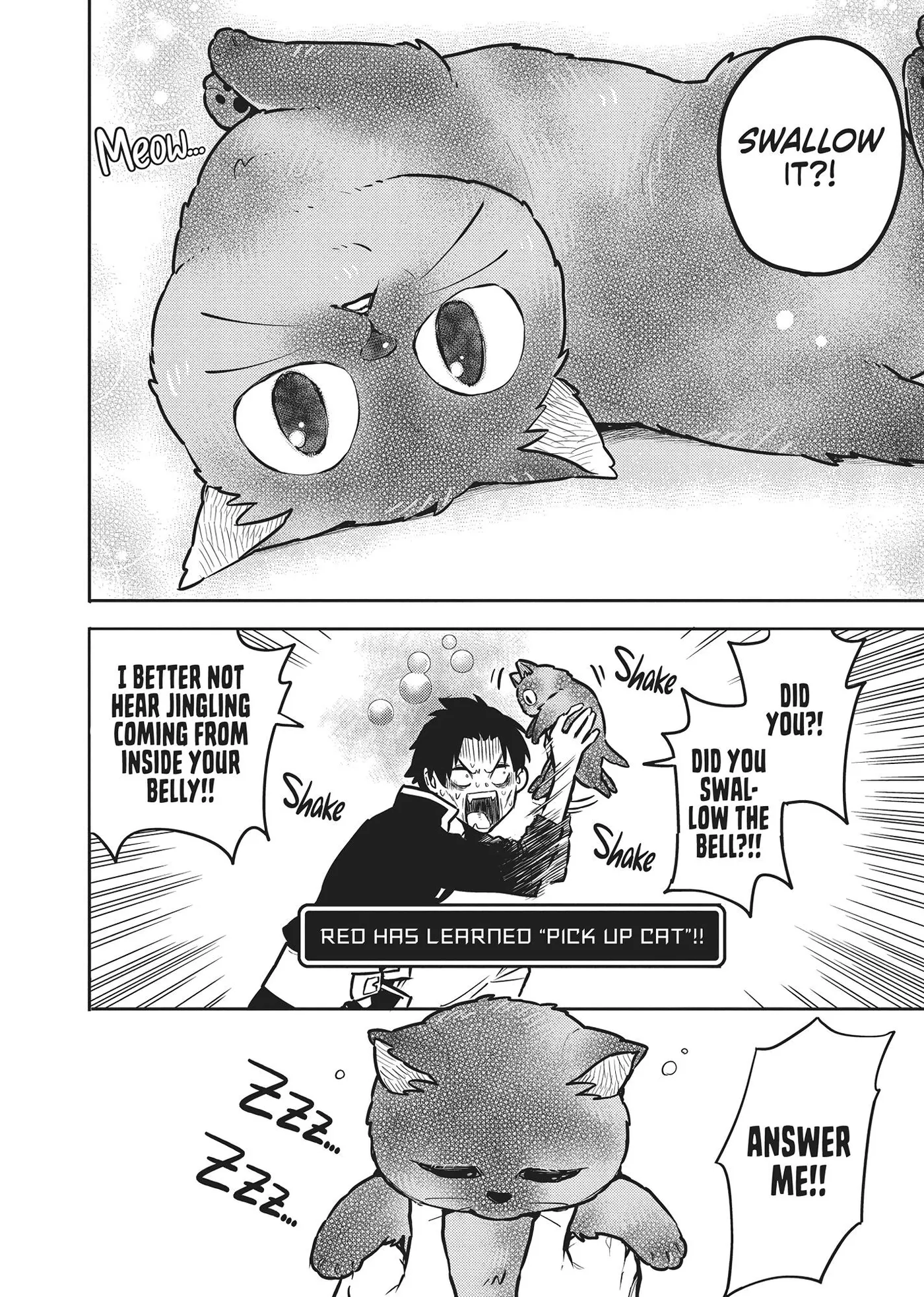 Cat on the Hero