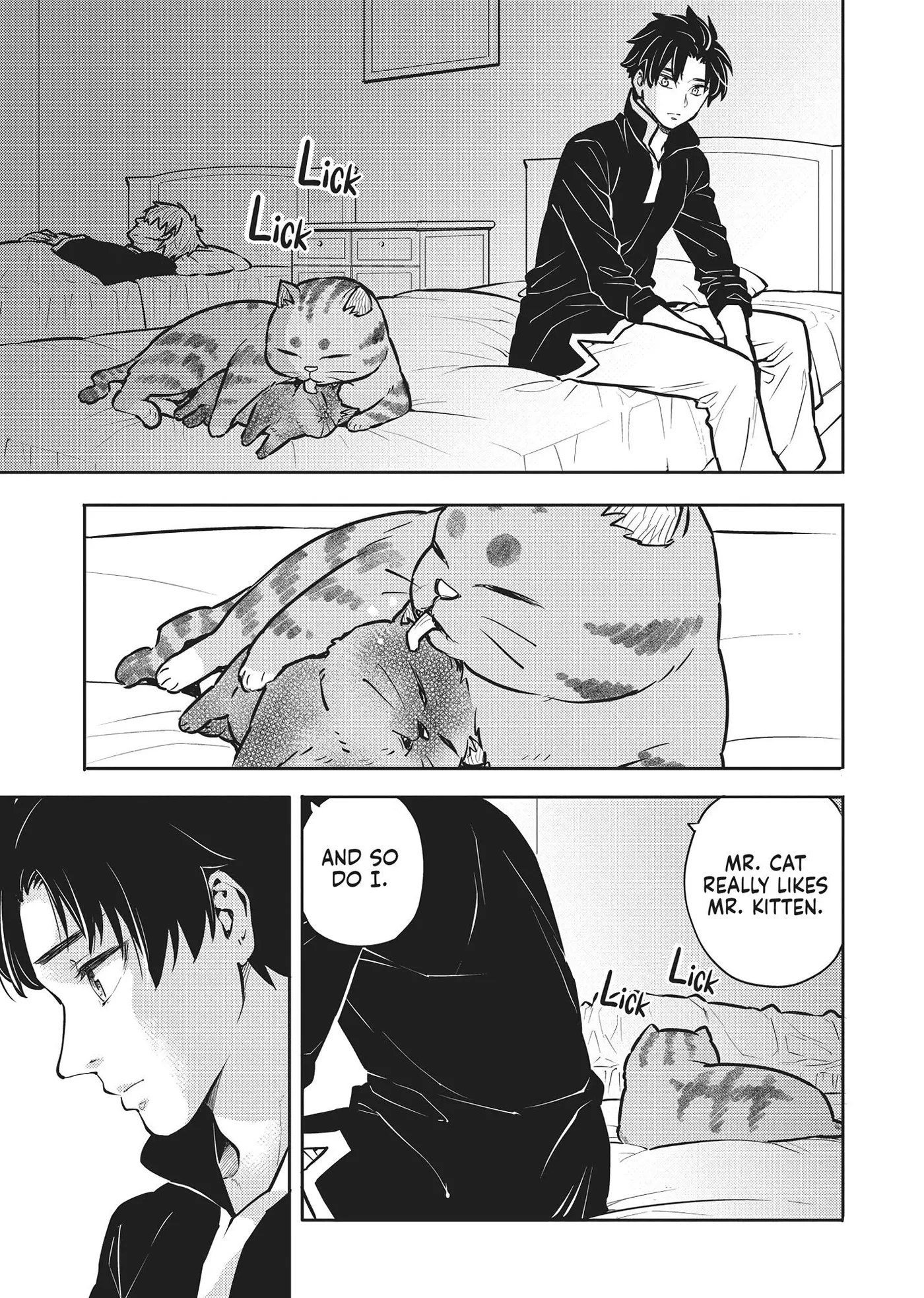 Cat on the Hero