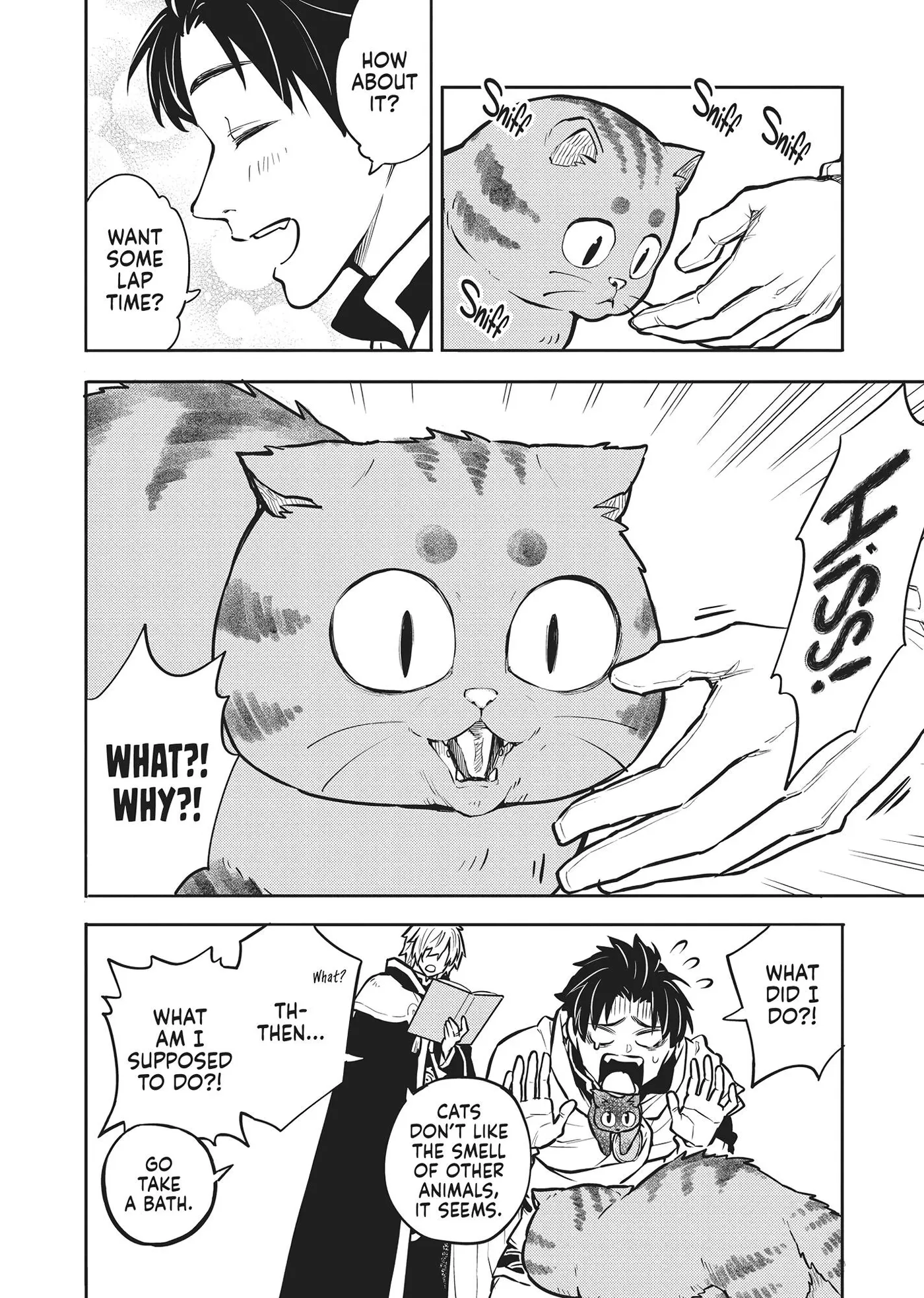 Cat on the Hero