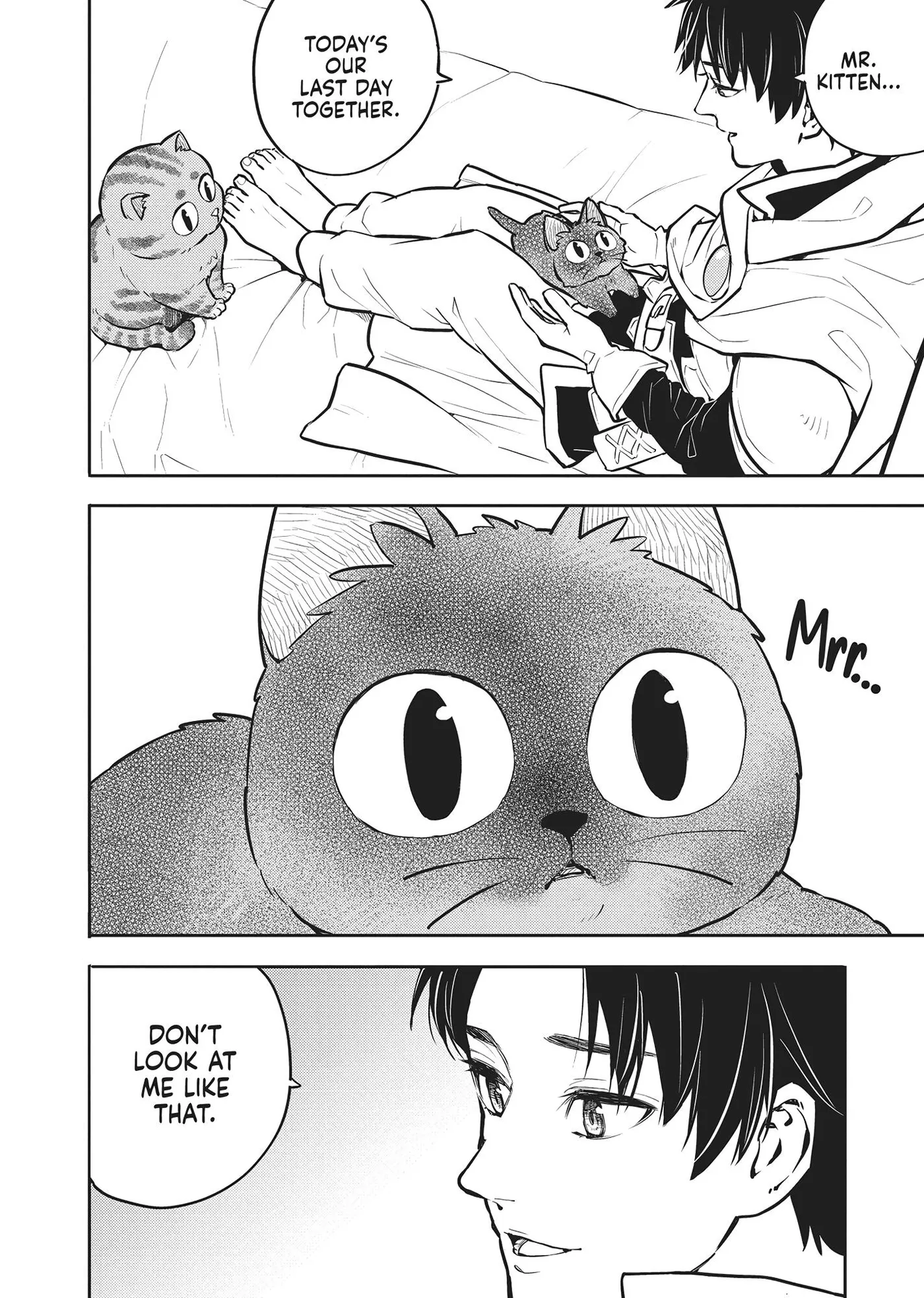 Cat on the Hero