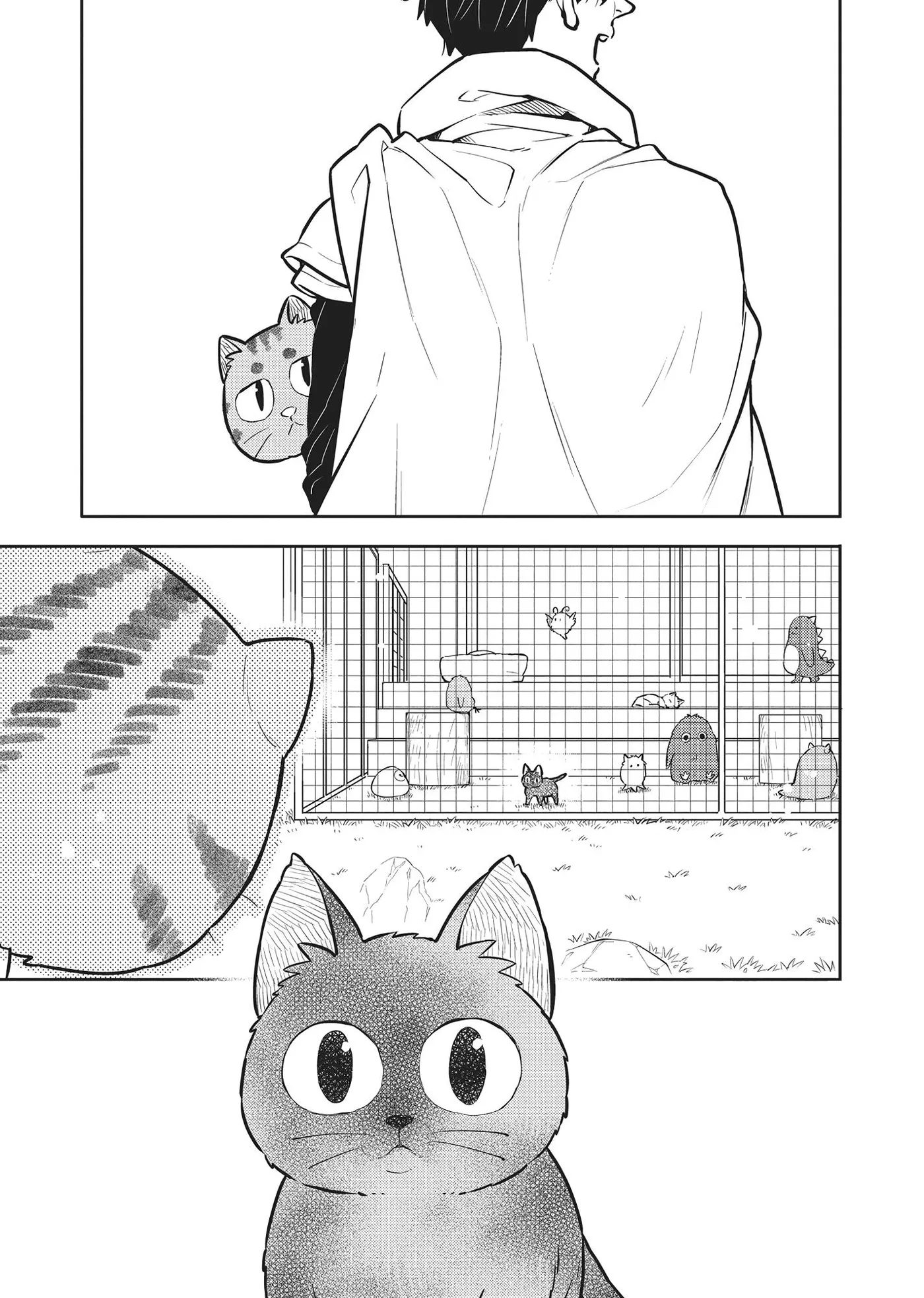 Cat on the Hero