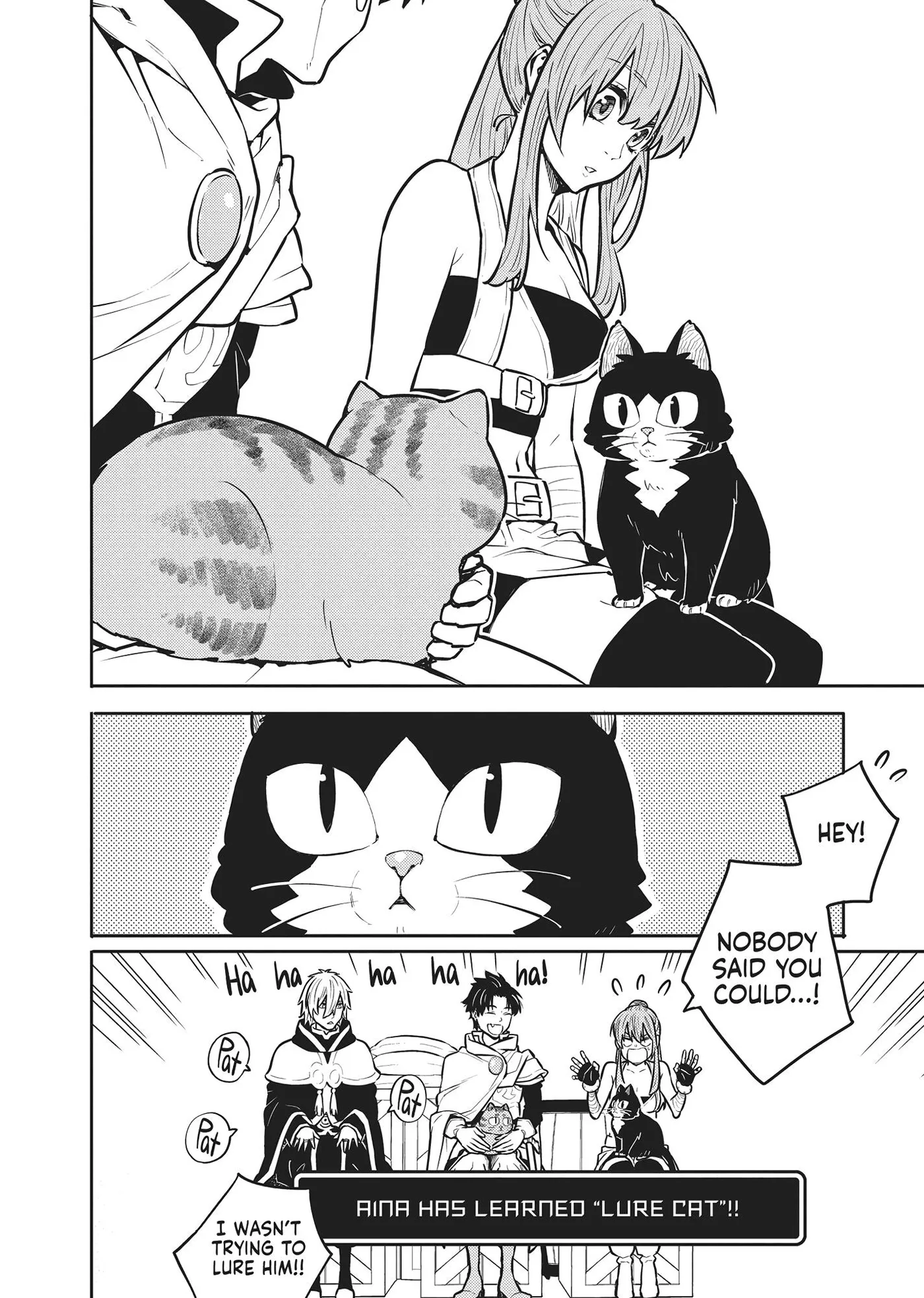Cat on the Hero