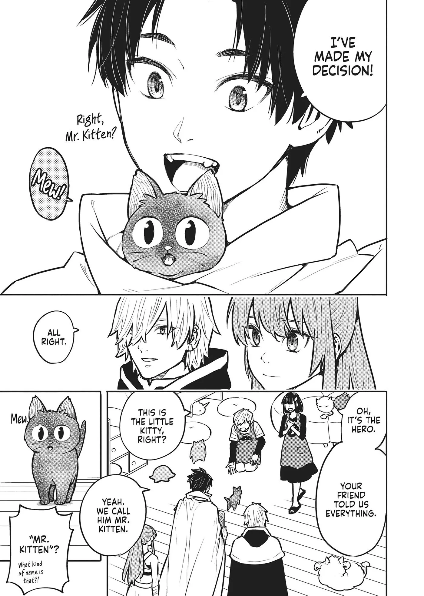 Cat on the Hero