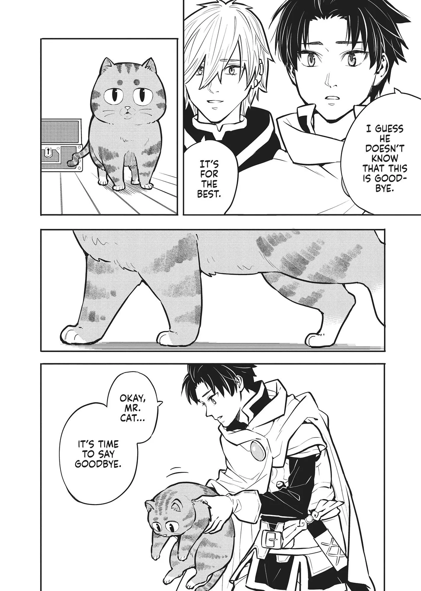 Cat on the Hero
