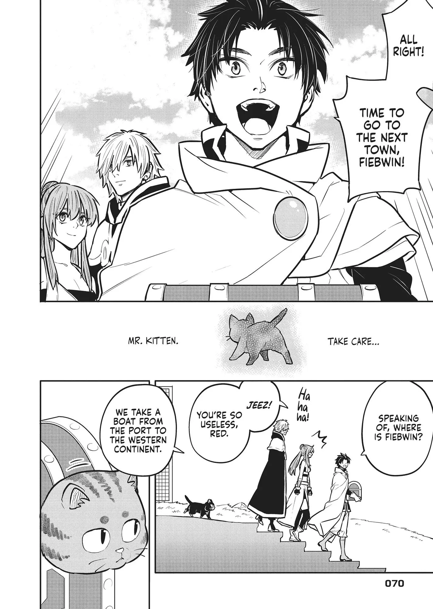 Cat on the Hero