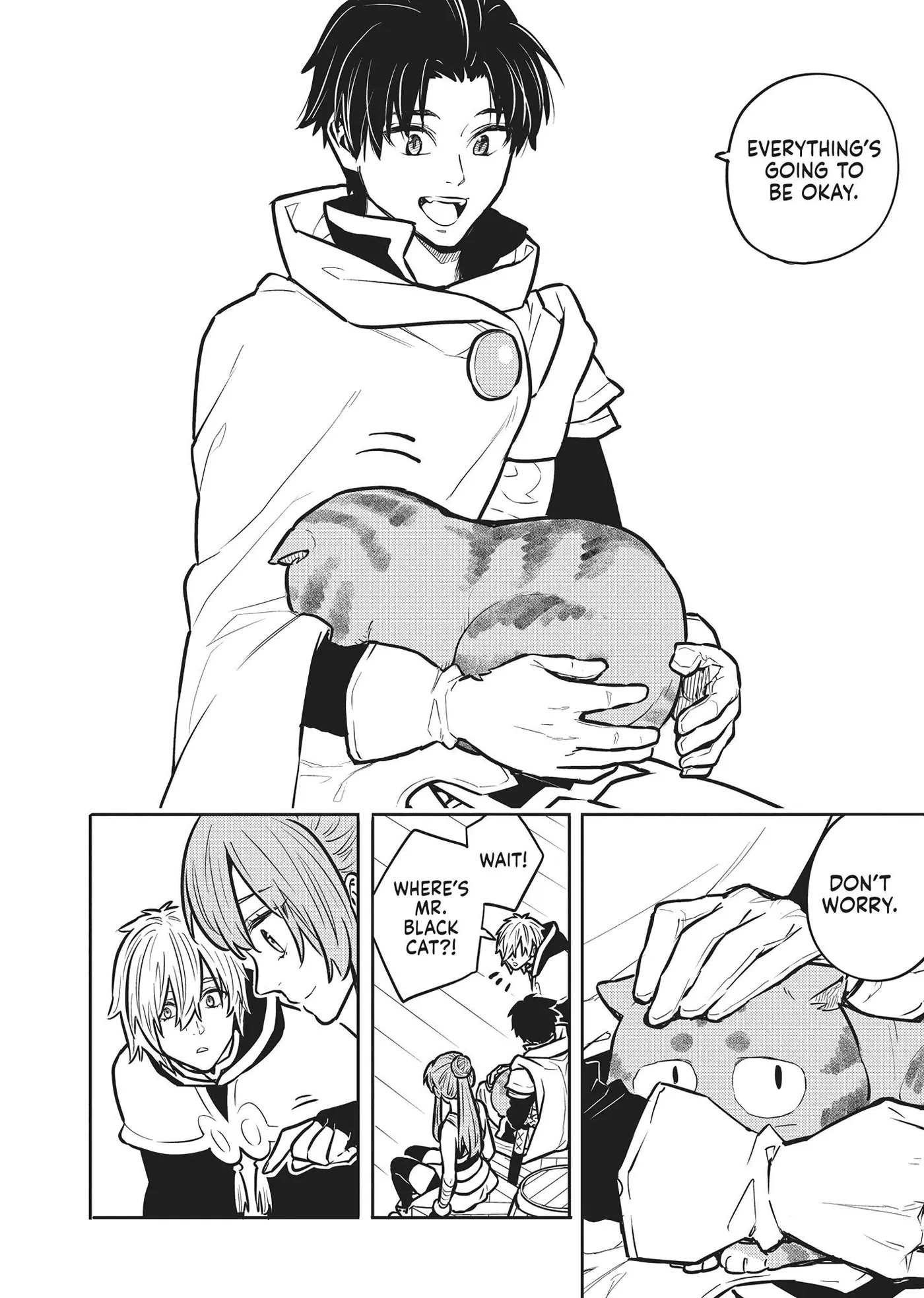 Cat on the Hero