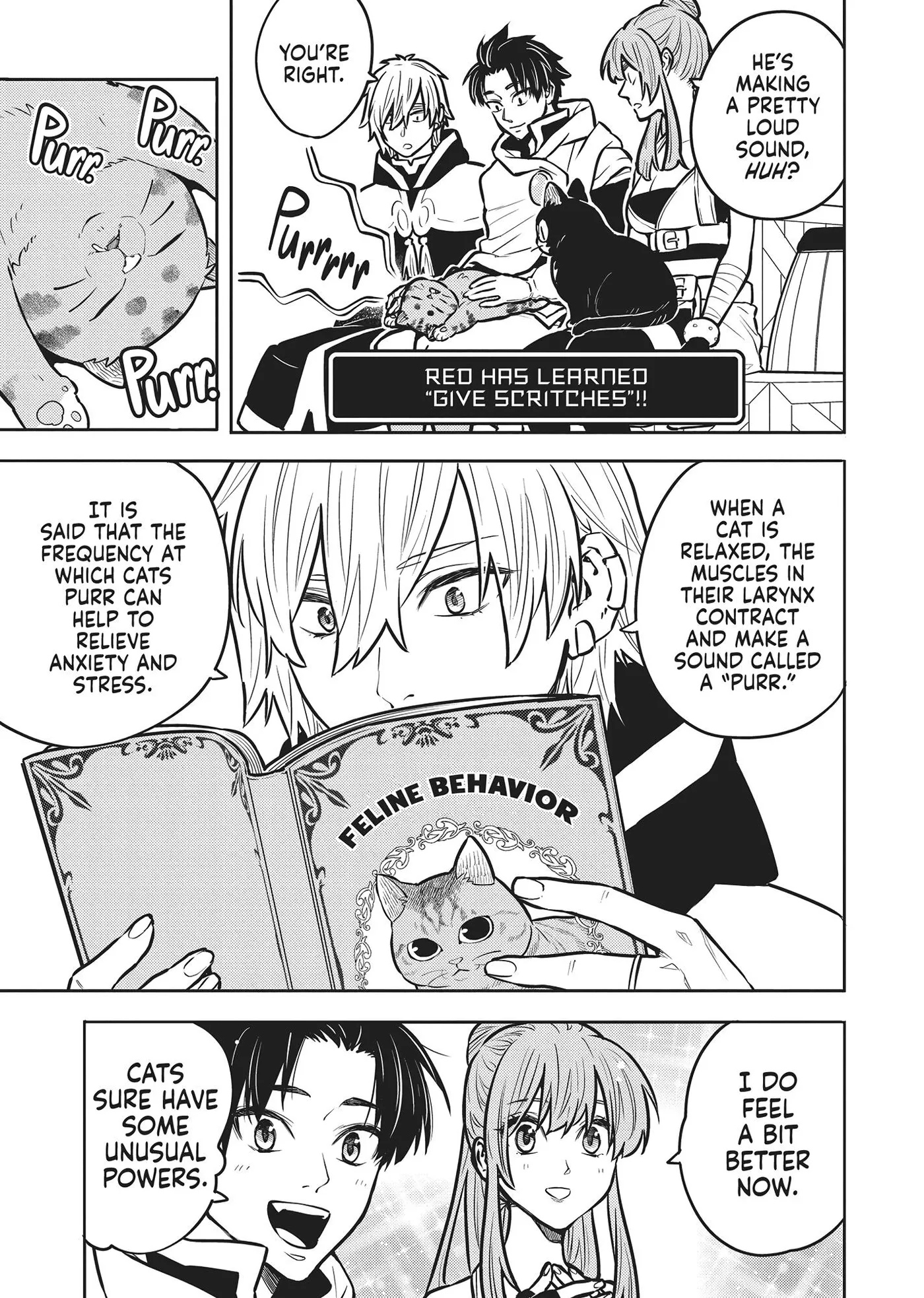 Cat on the Hero