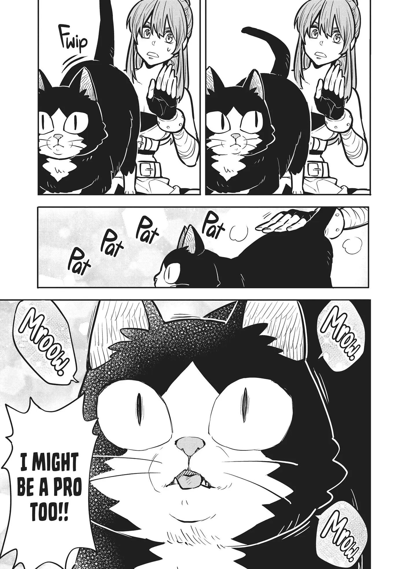 Cat on the Hero