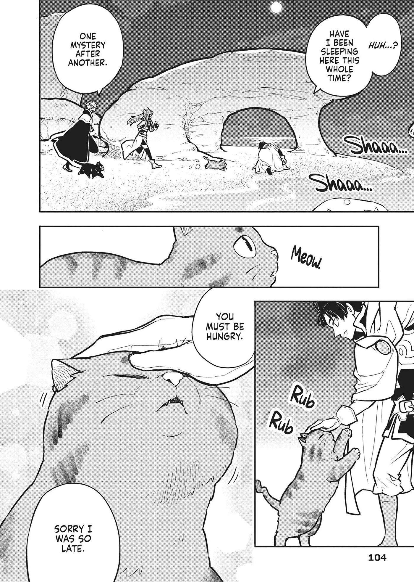 Cat on the Hero