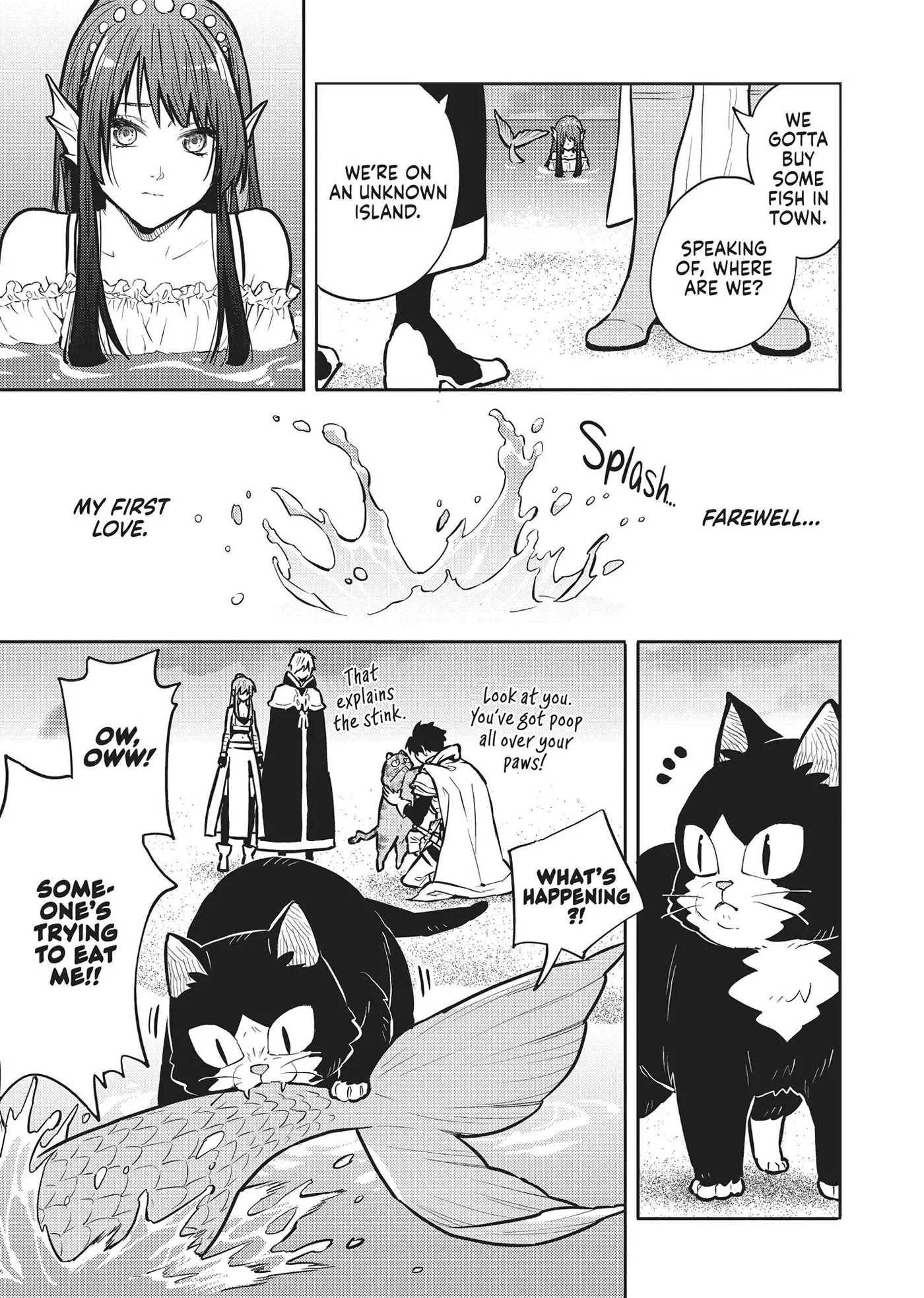Cat on the Hero