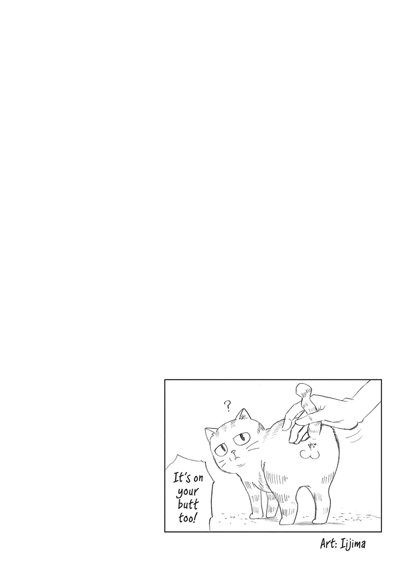 Cat on the Hero