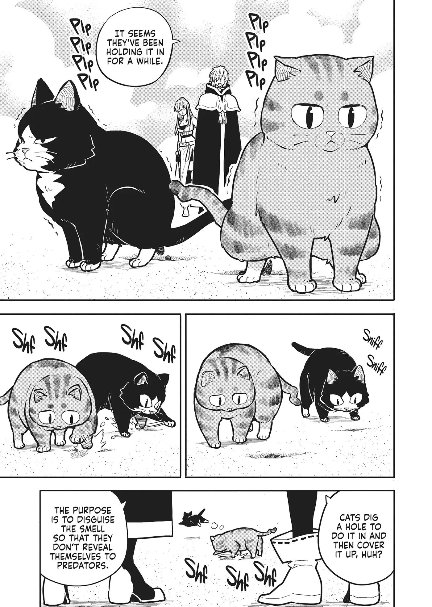 Cat on the Hero