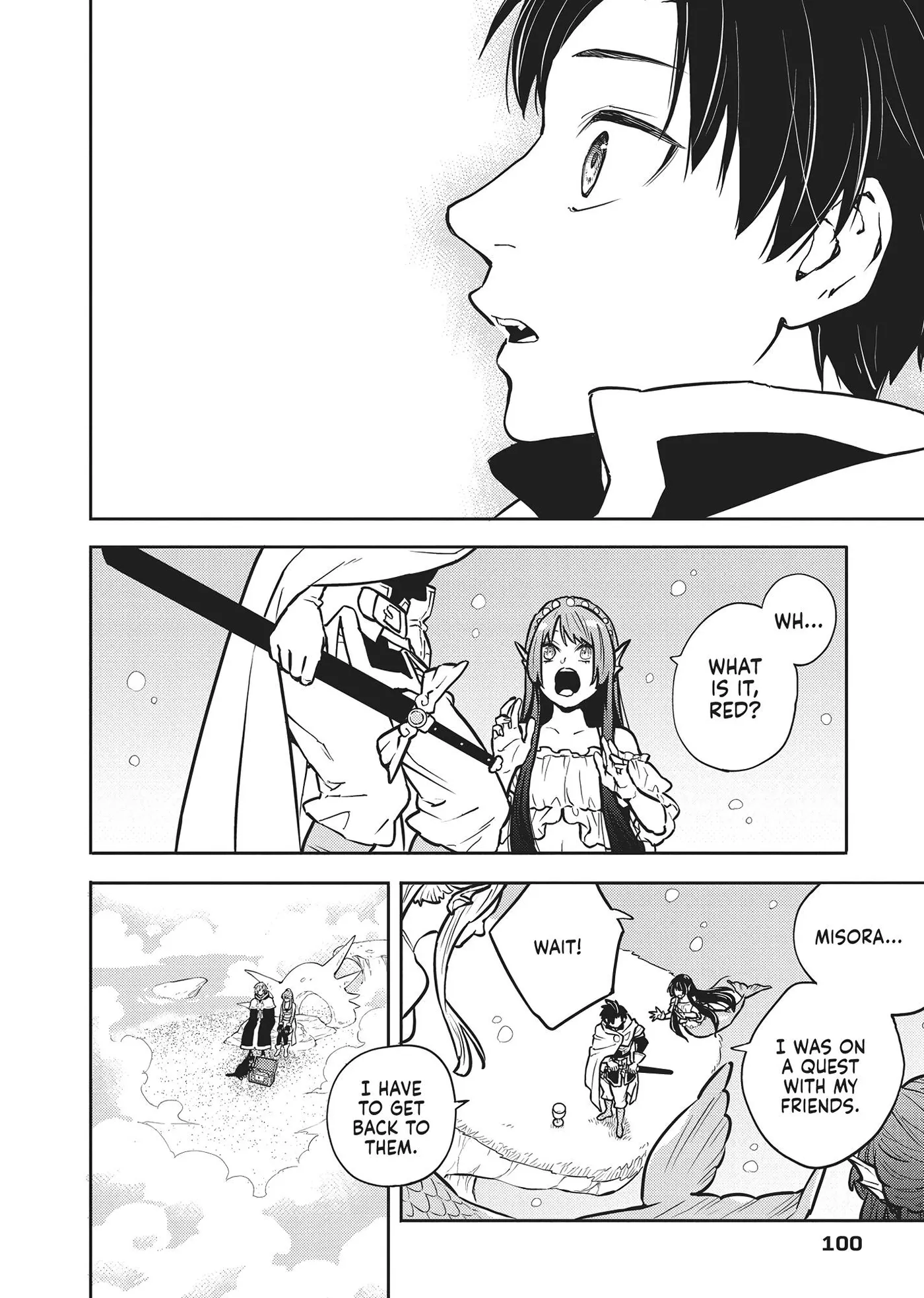 Cat on the Hero