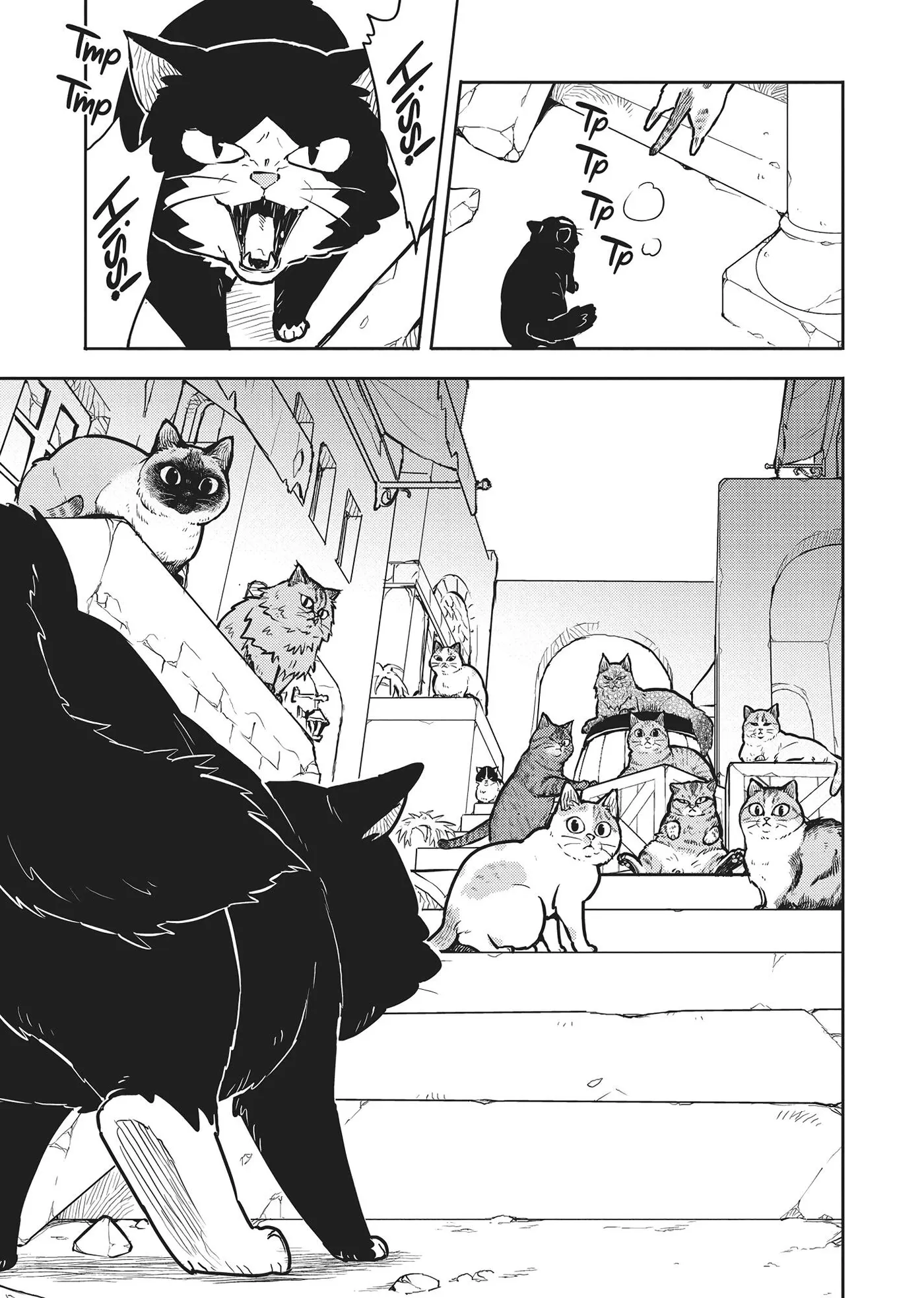 Cat on the Hero