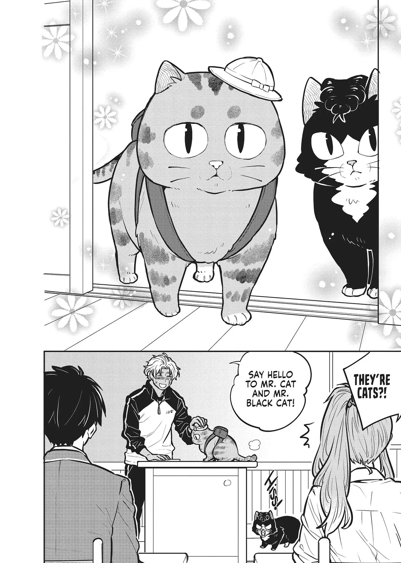 Cat on the Hero