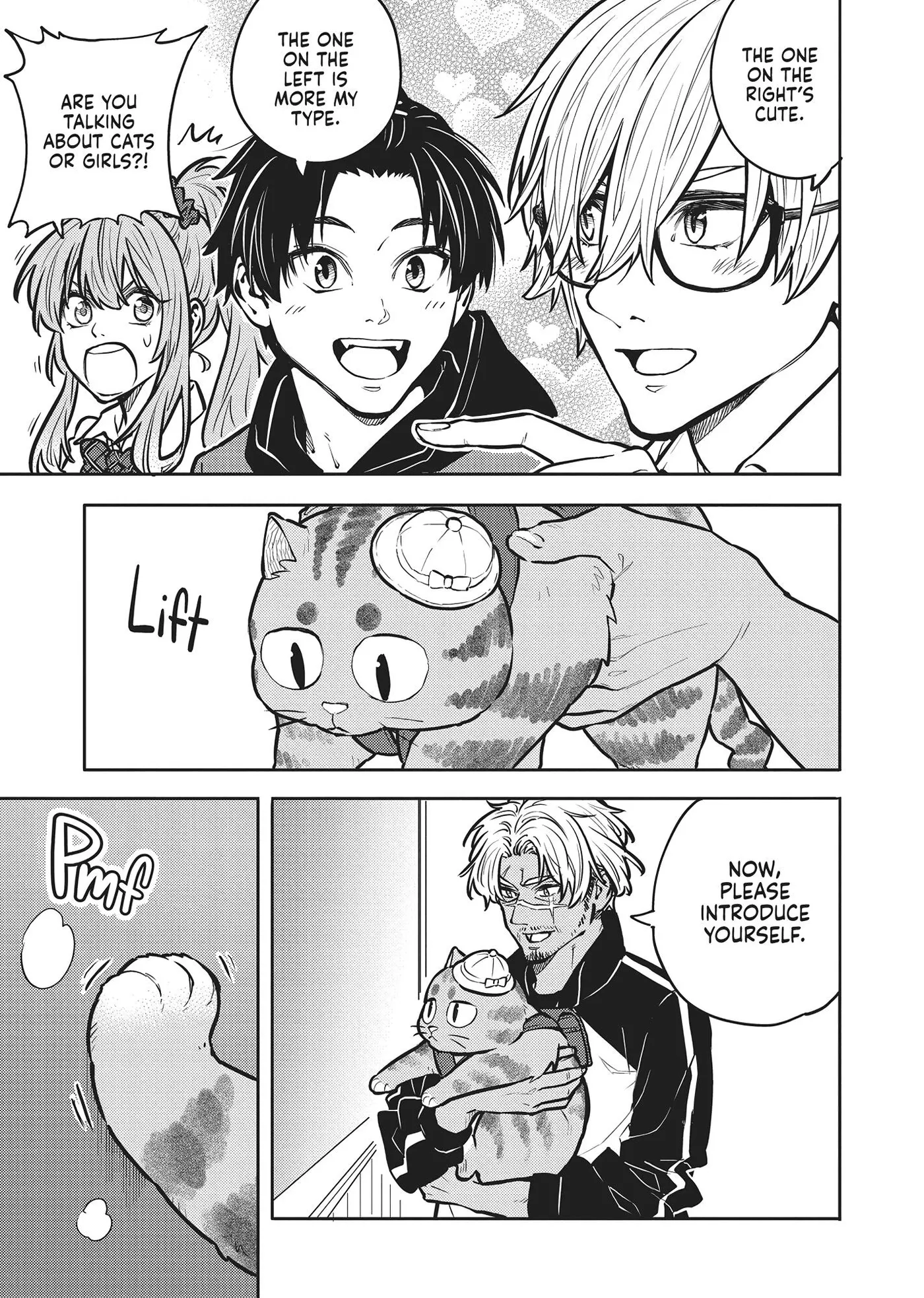 Cat on the Hero