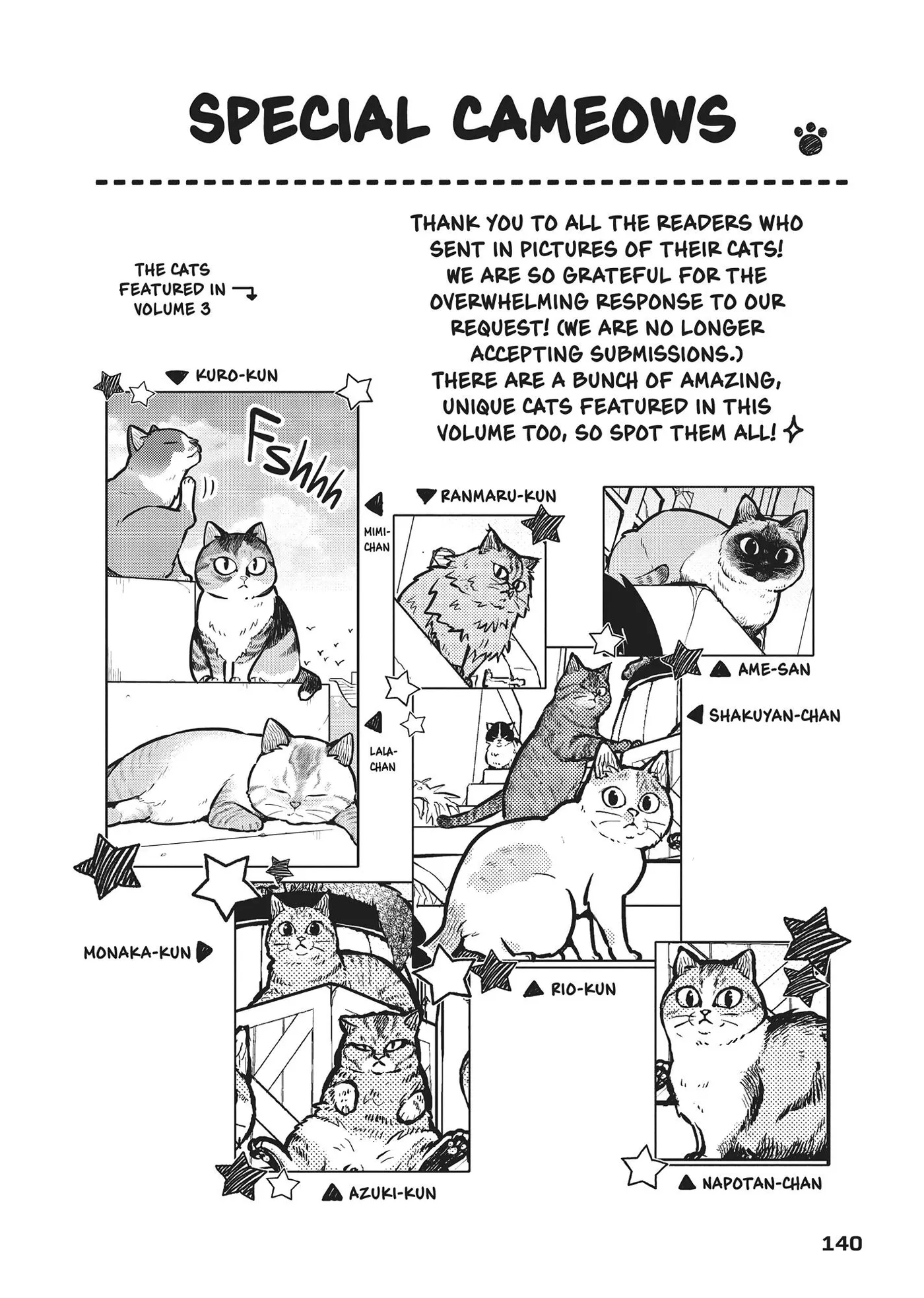 Cat on the Hero