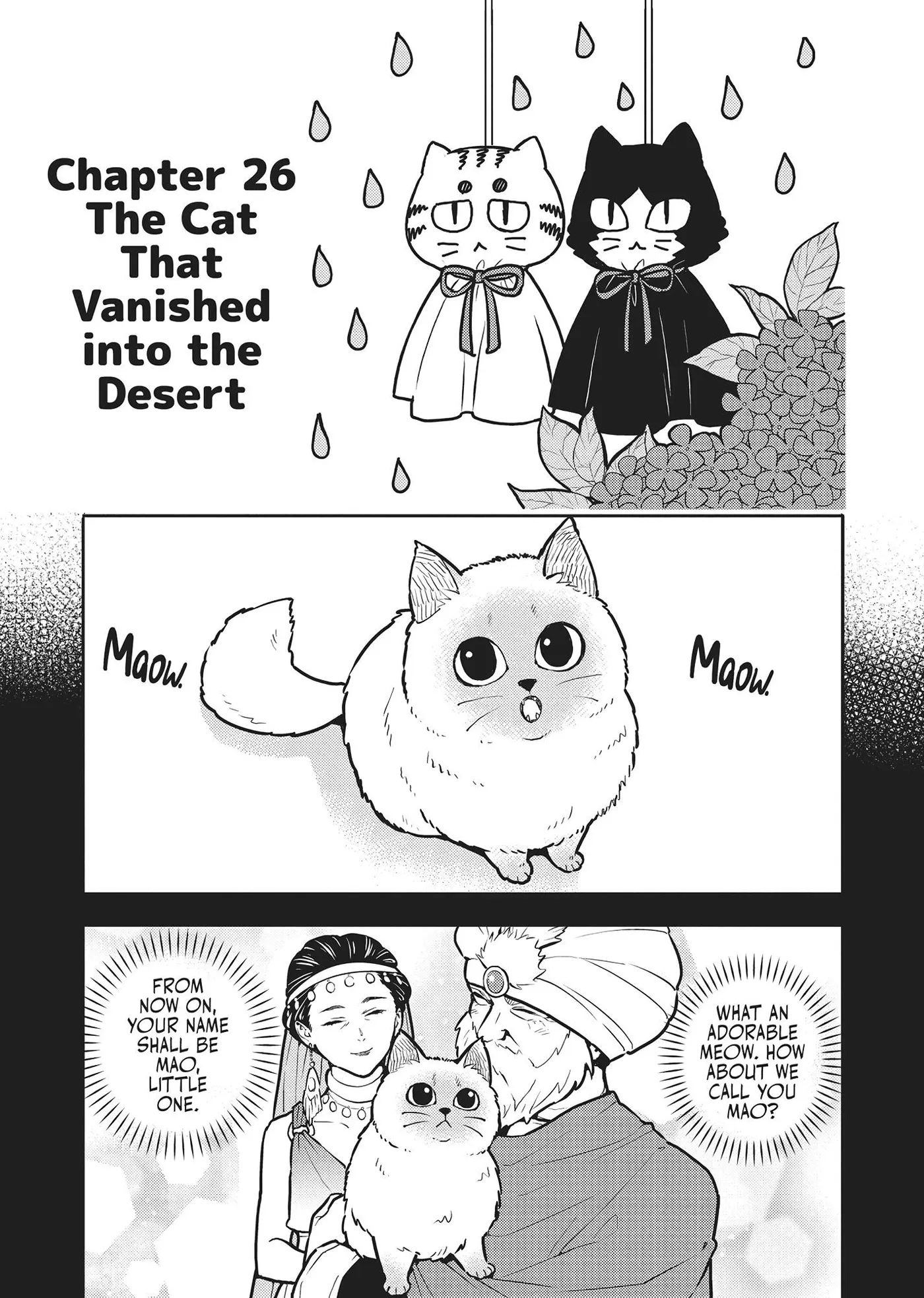 Cat on the Hero