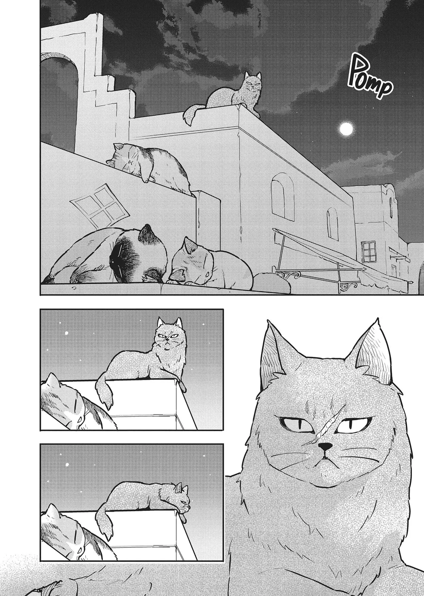 Cat on the Hero