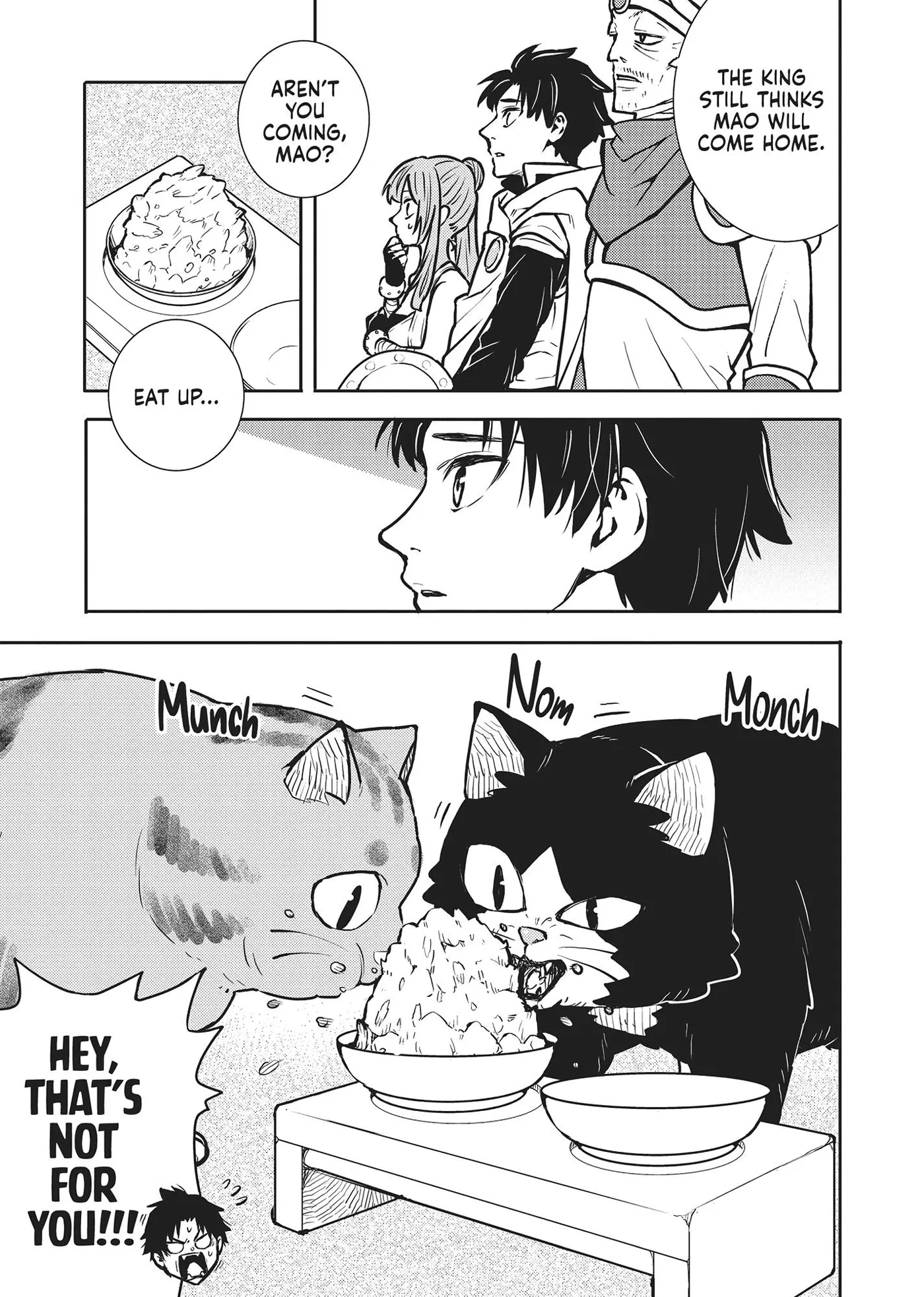 Cat on the Hero