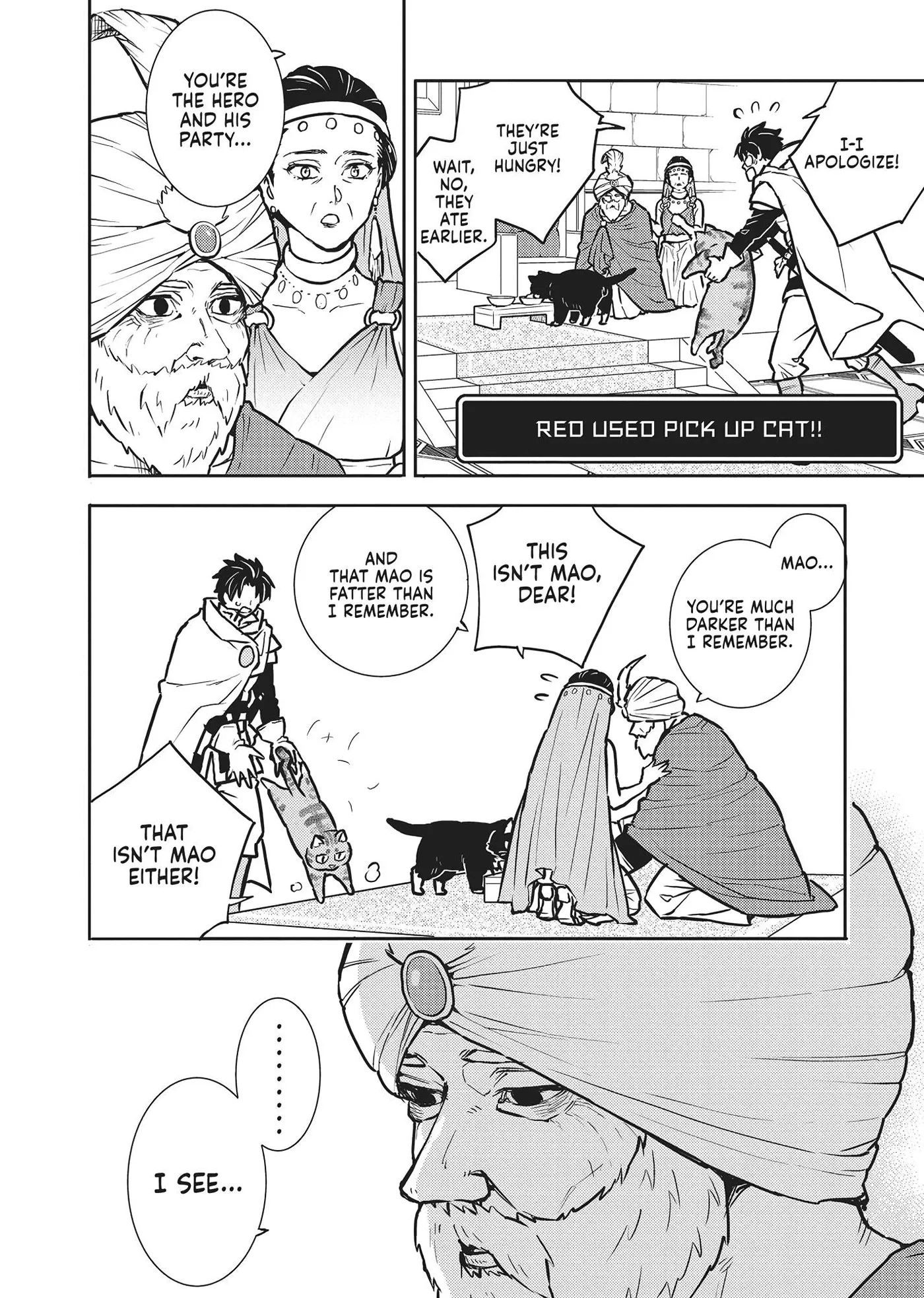 Cat on the Hero