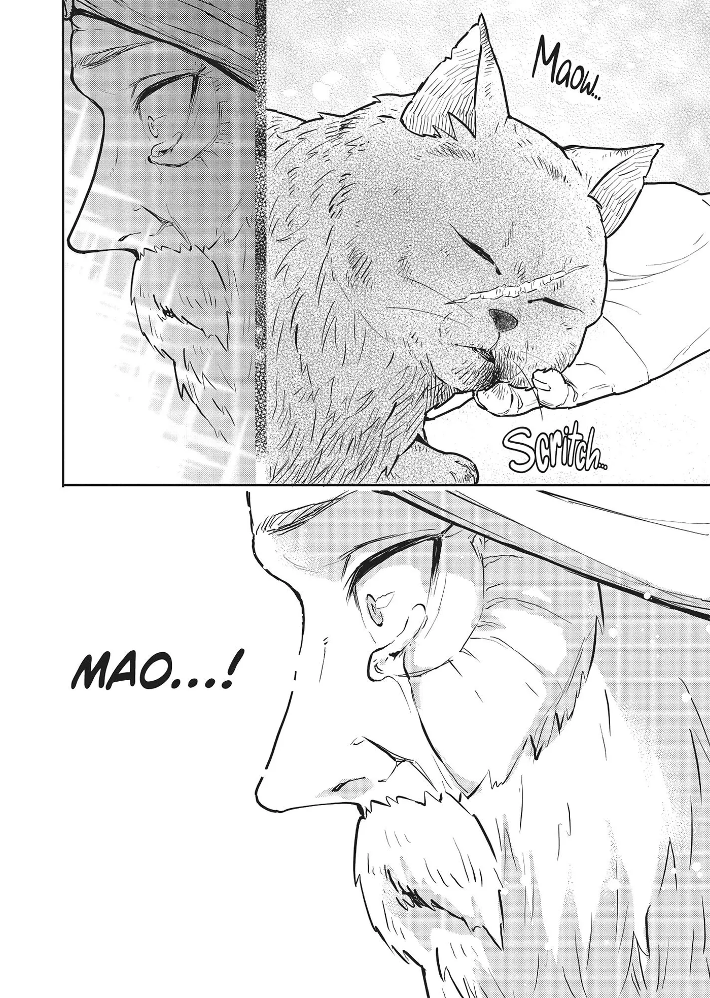 Cat on the Hero