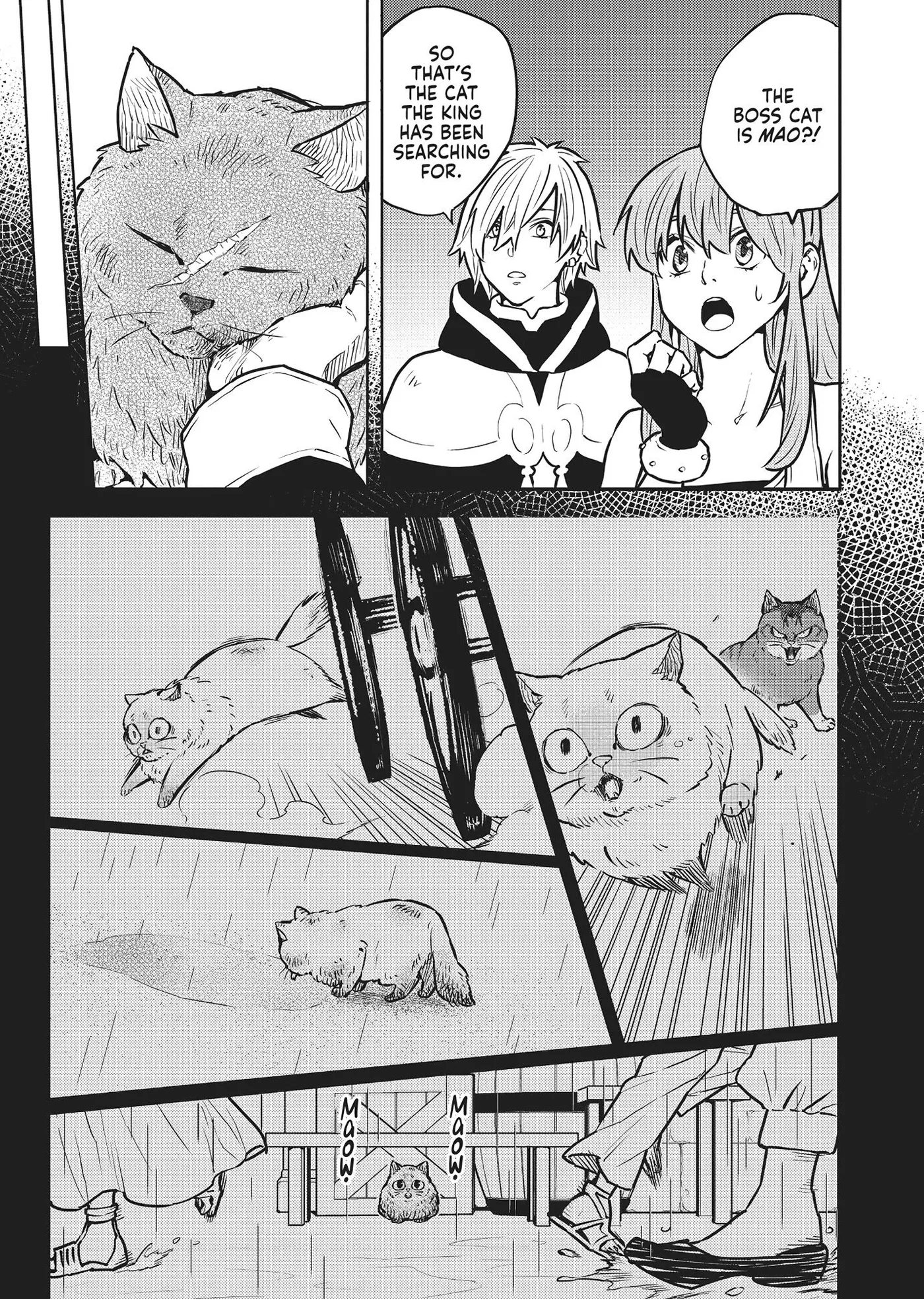Cat on the Hero