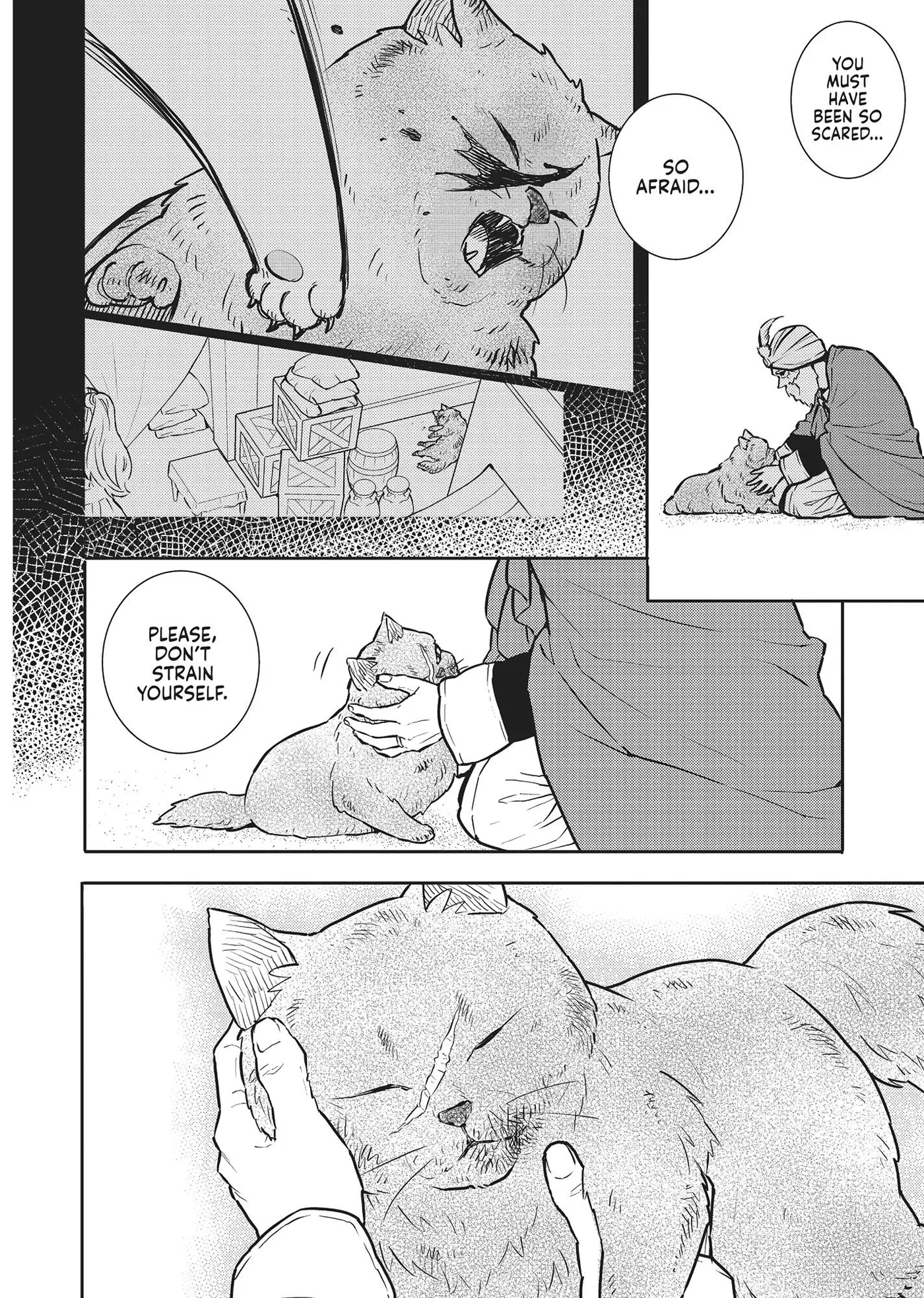 Cat on the Hero
