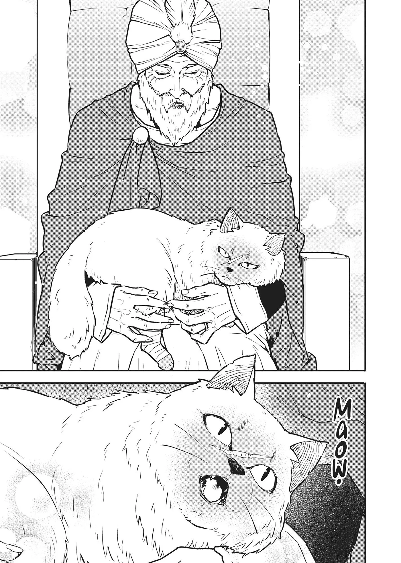 Cat on the Hero