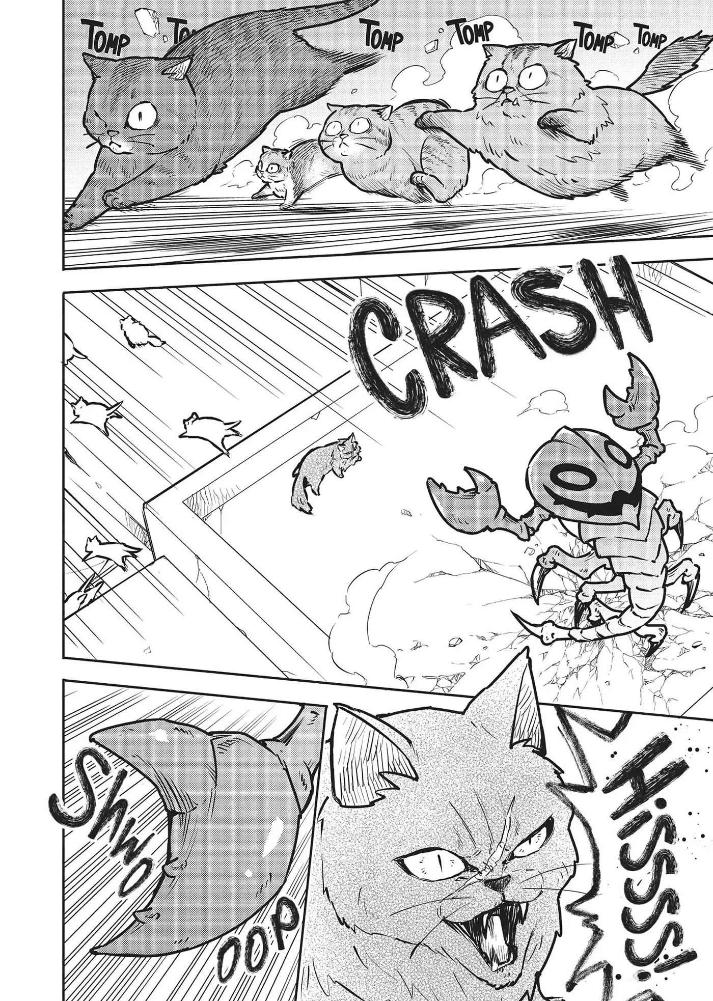 Cat on the Hero