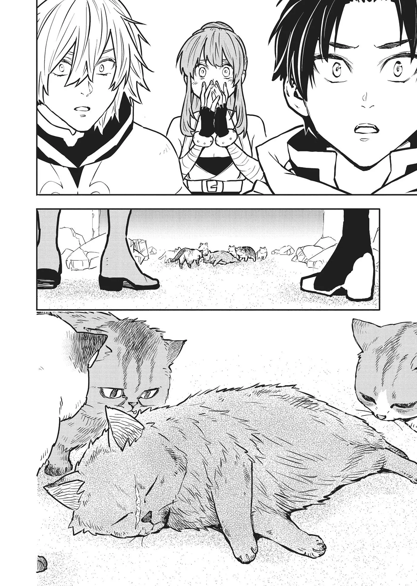 Cat on the Hero