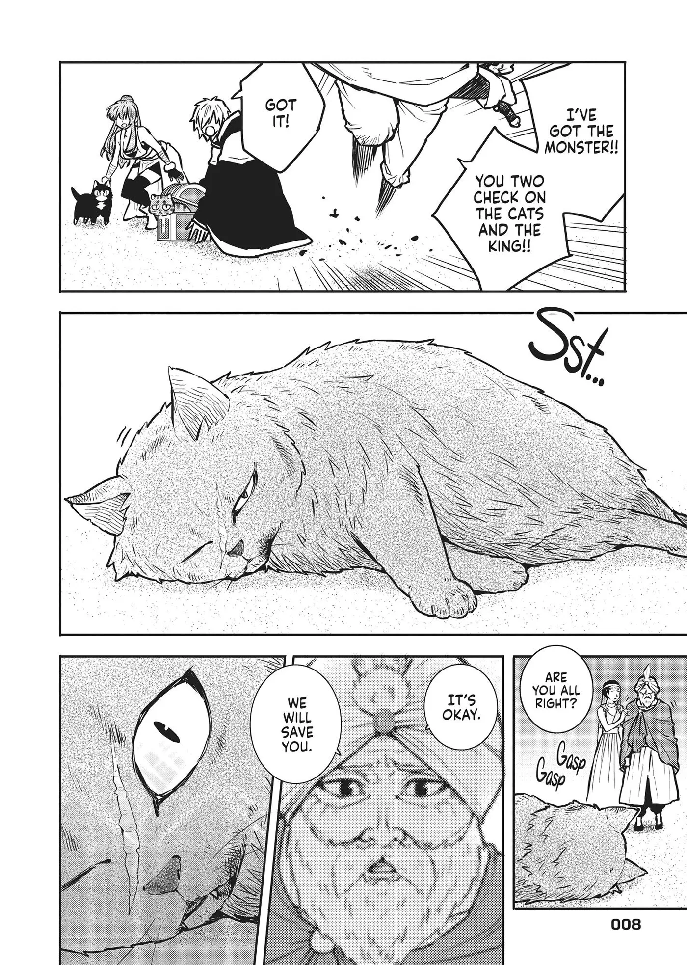 Cat on the Hero