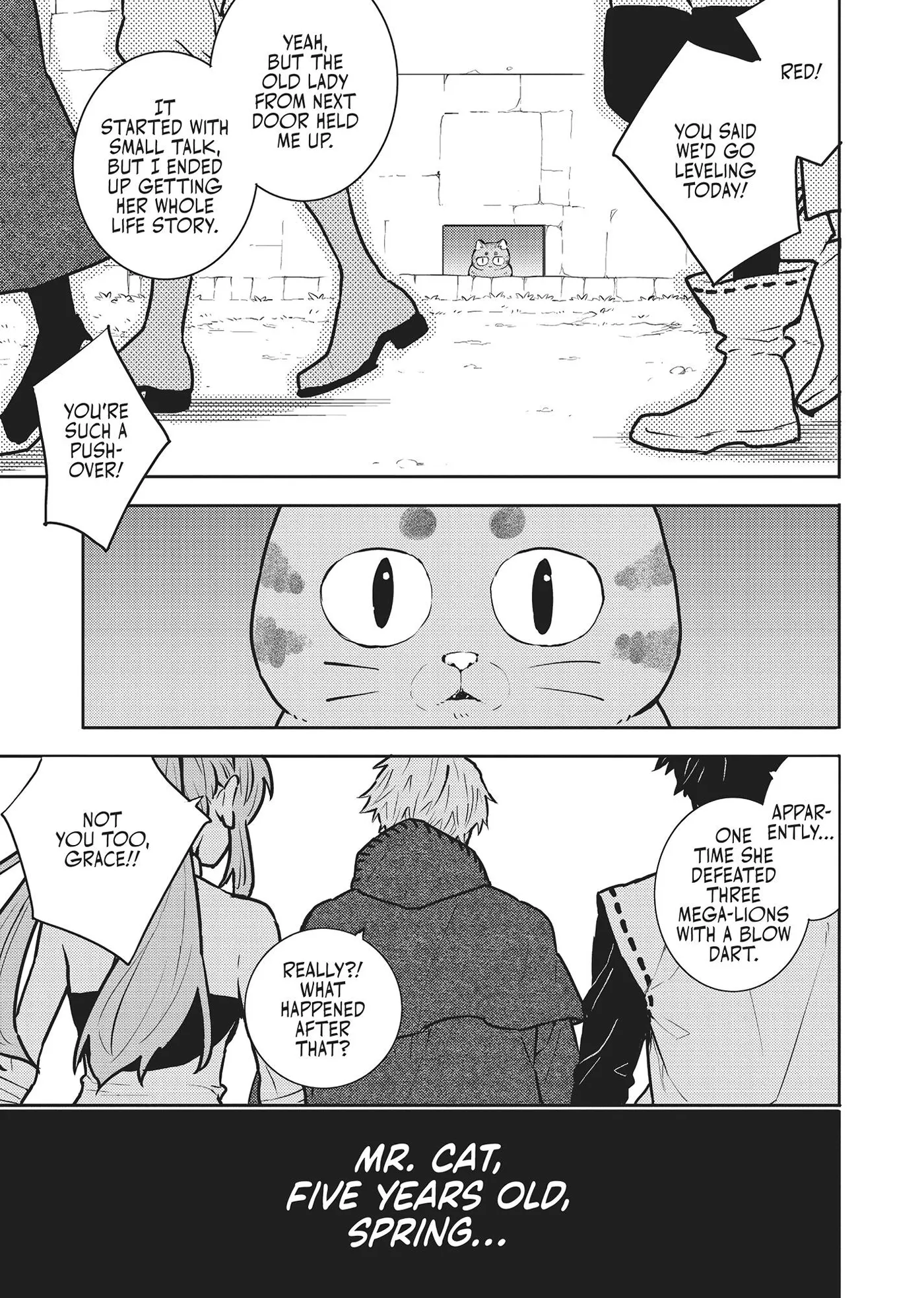 Cat on the Hero